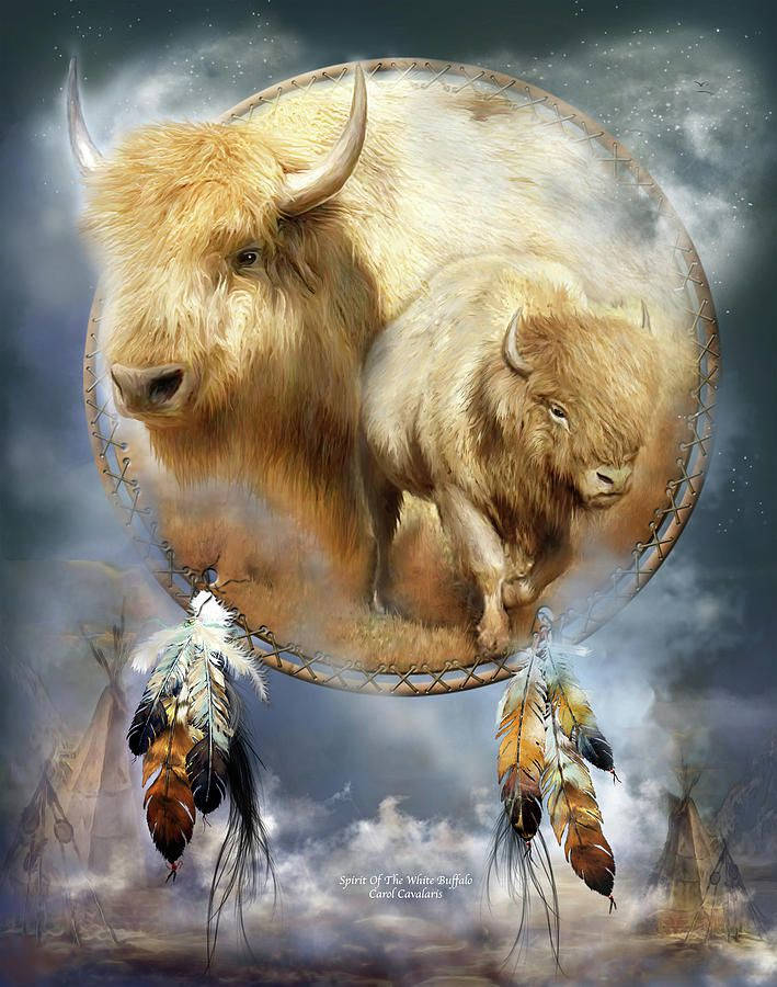 Majestic Buffalo With Dream Catcher Design
