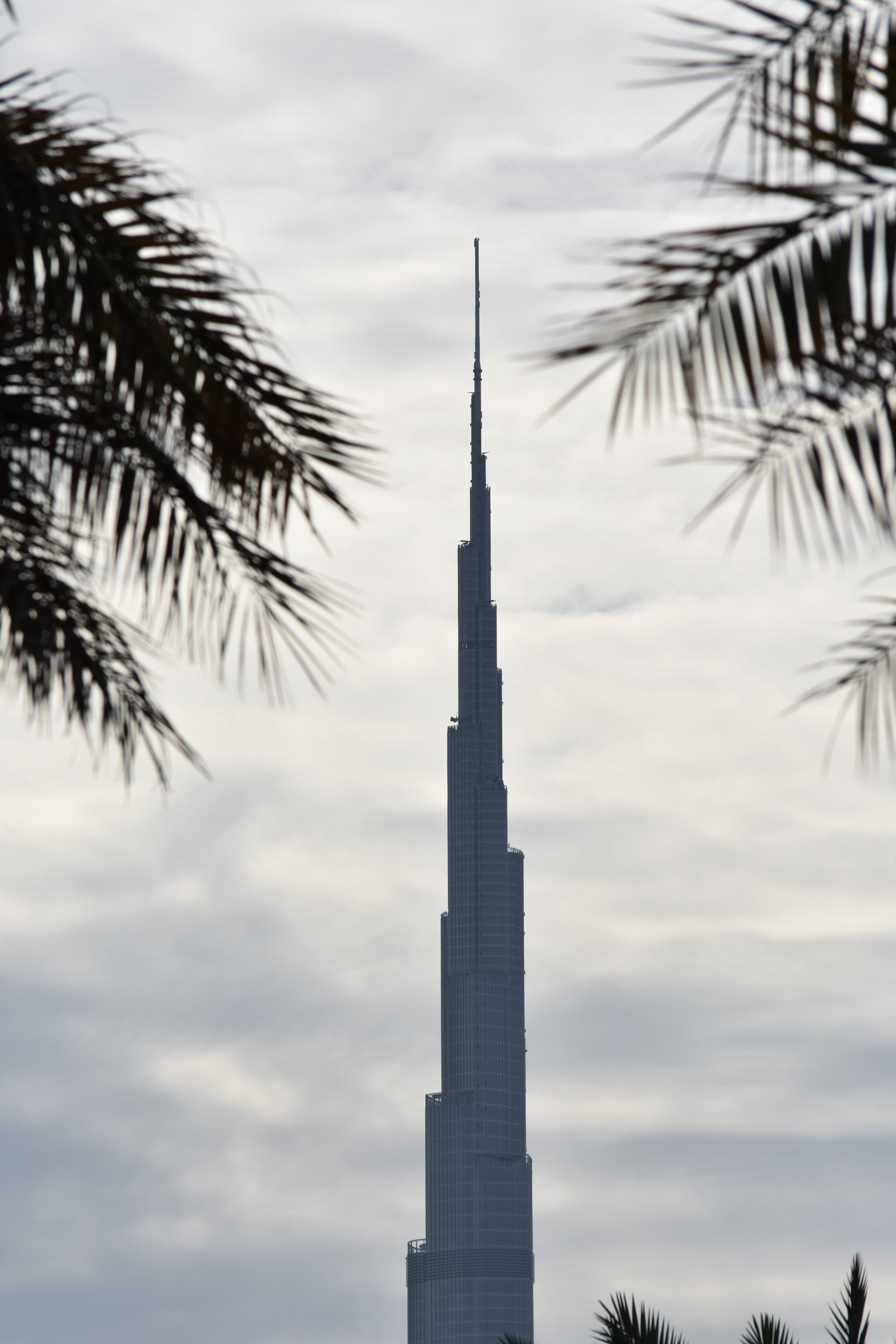 Majestic Burj Khalifa Framed By Lush Palm Trees Background