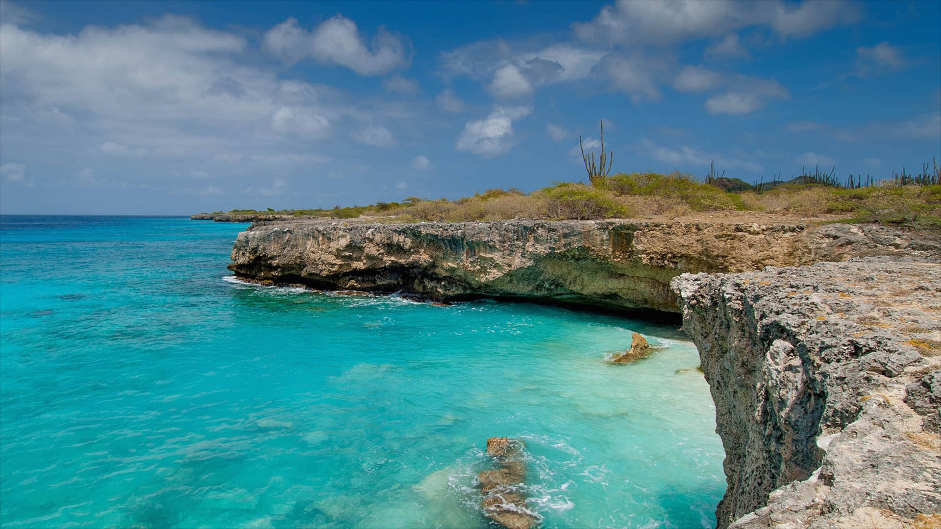 Majestic Cliffside View Of Beautiful Bonaire Background