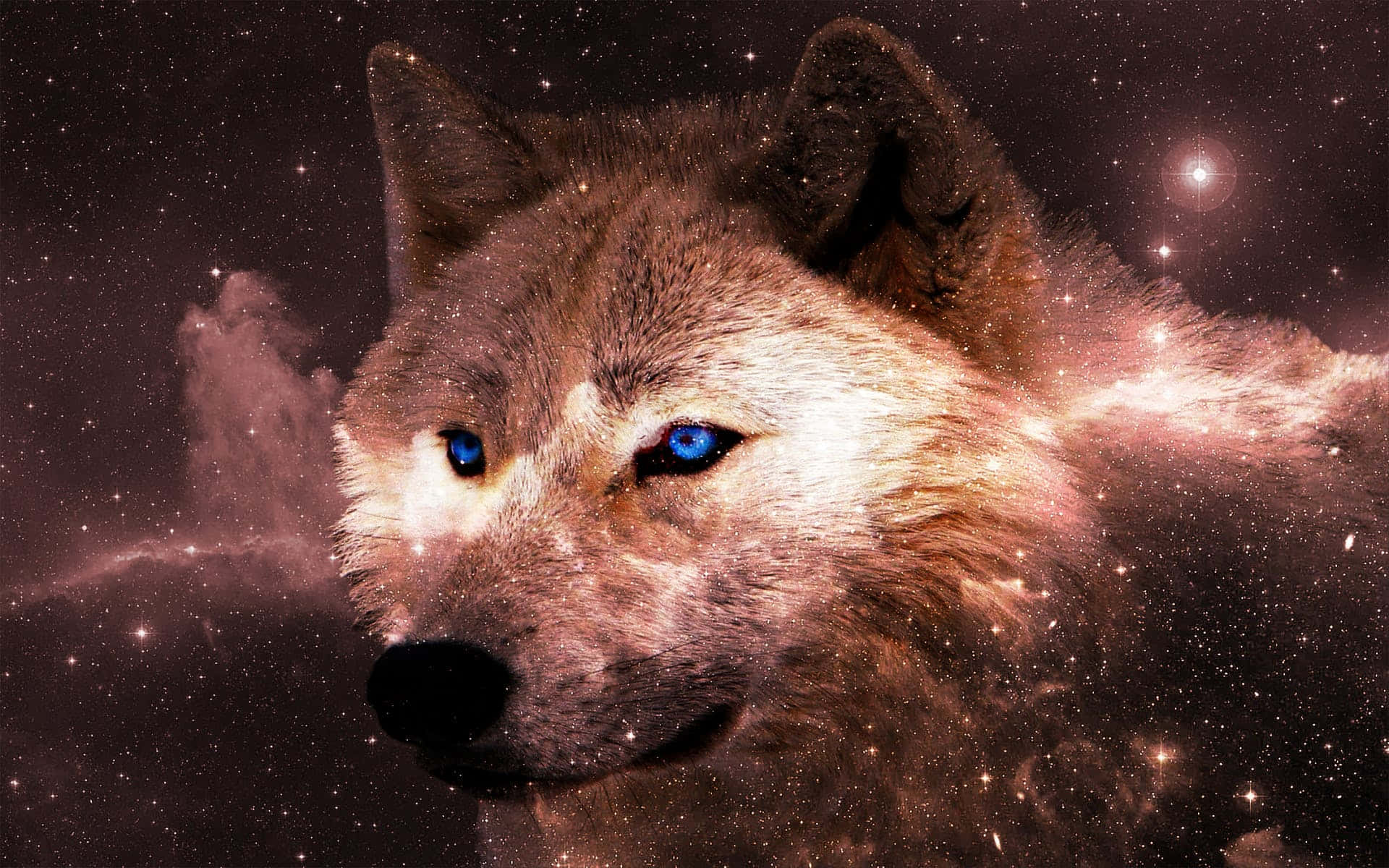 Majestic Creatures Of The Galaxy Background