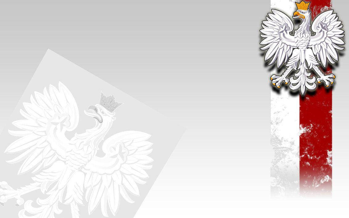 Majestic Crowned Eagle On Polish Flag