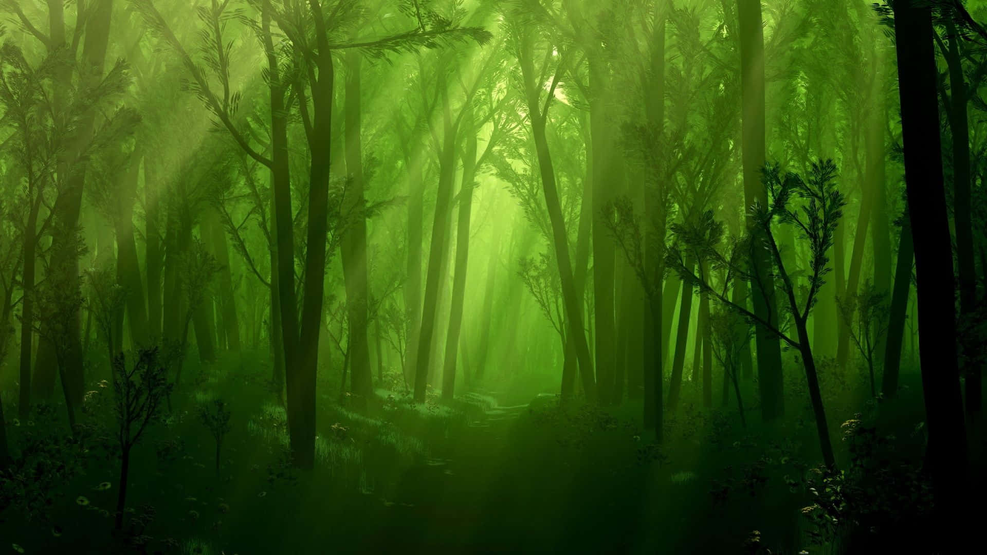 Majestic Dark Green Forest In Autumn Background