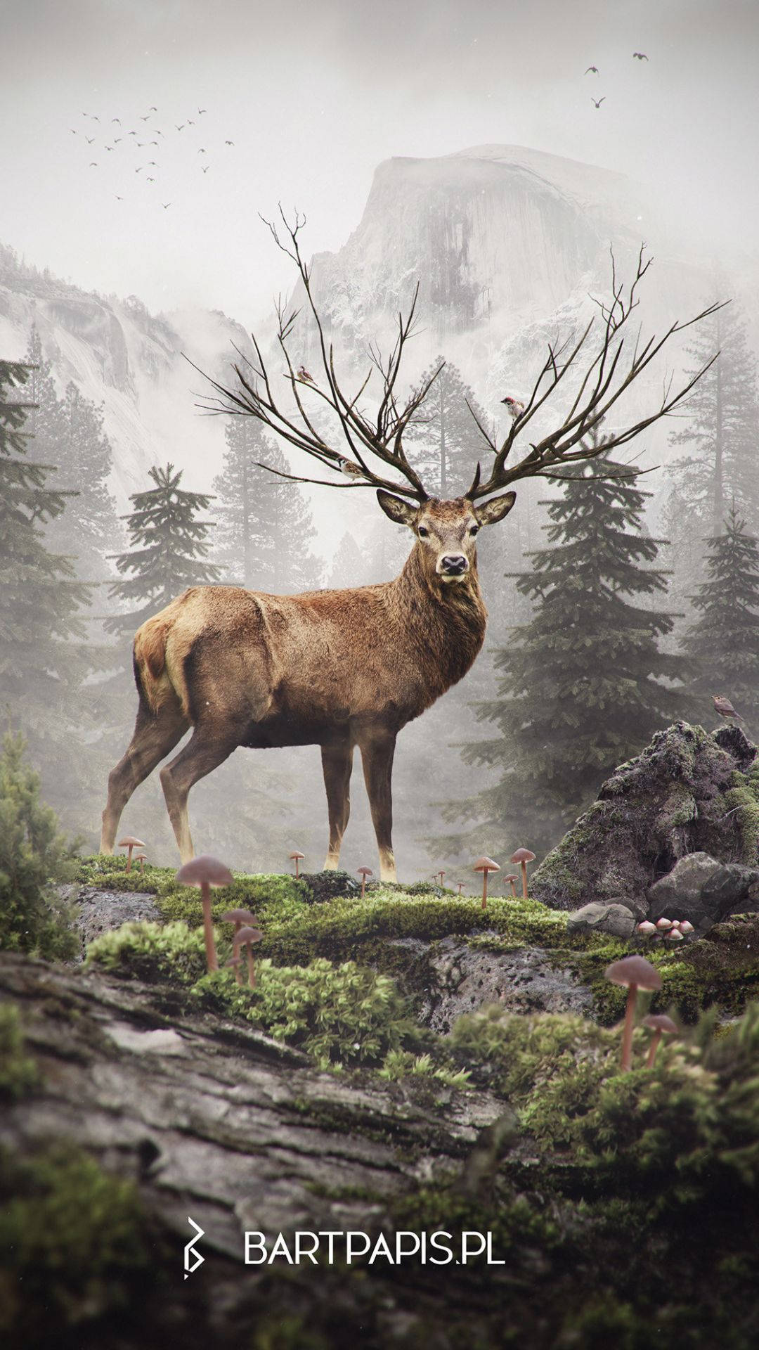 Majestic Deer In A Forest Setting Background