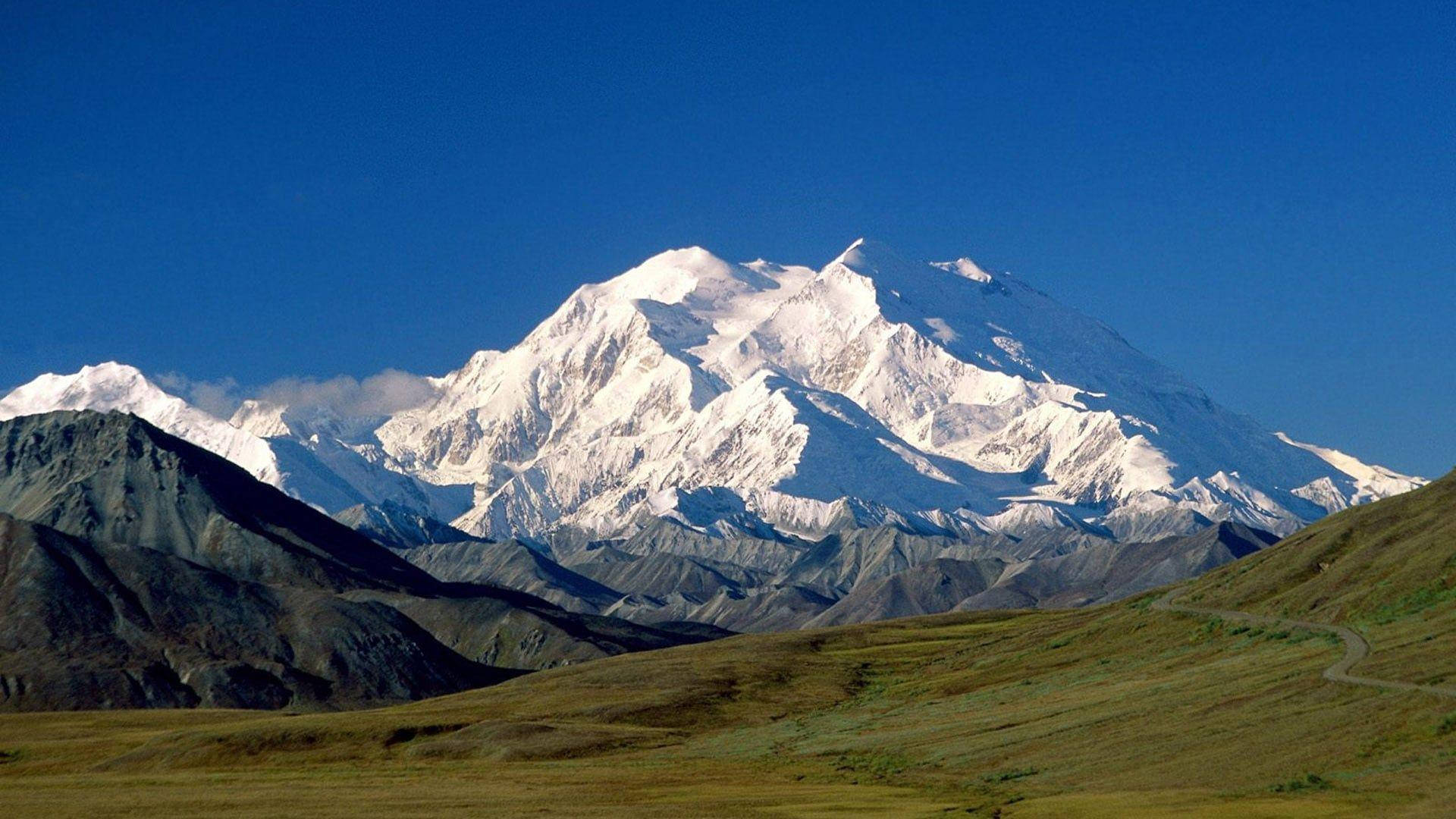 Majestic Denali Towering Above Green Fields Background