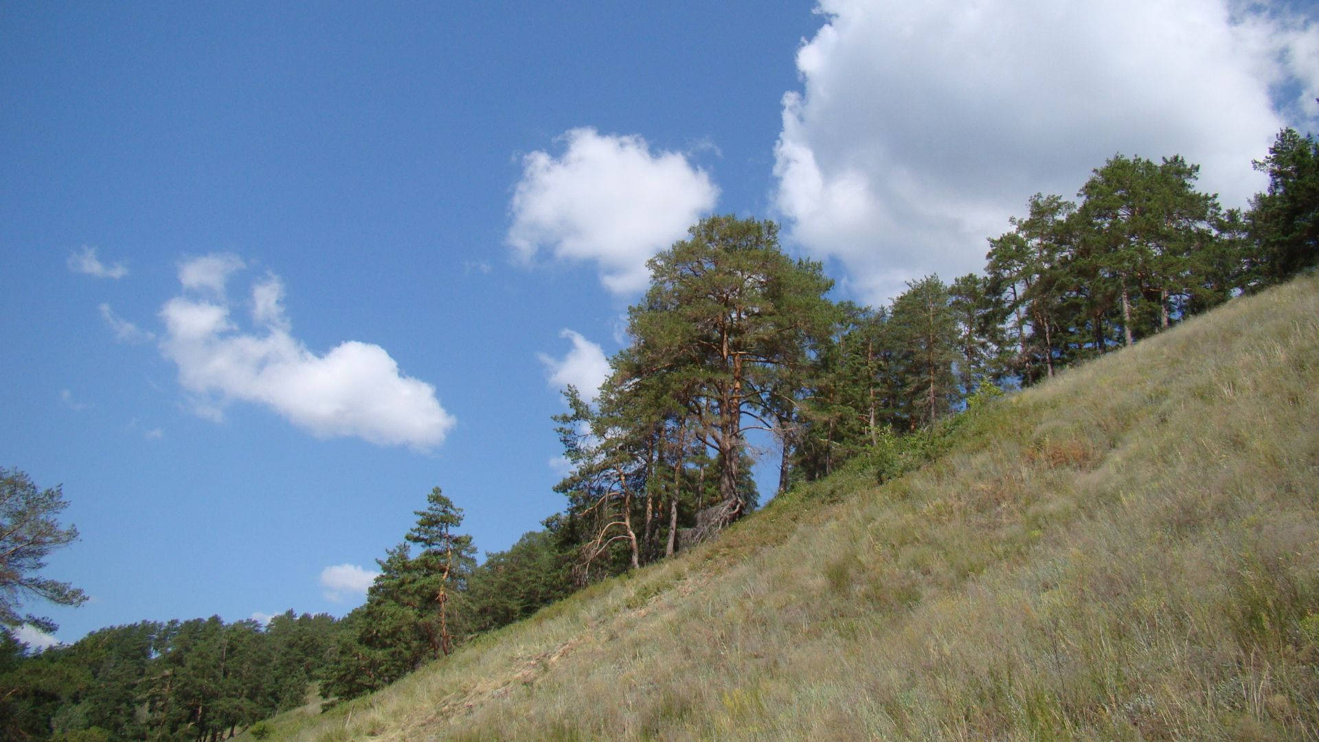 Majestic Dry Mountain Slope Background