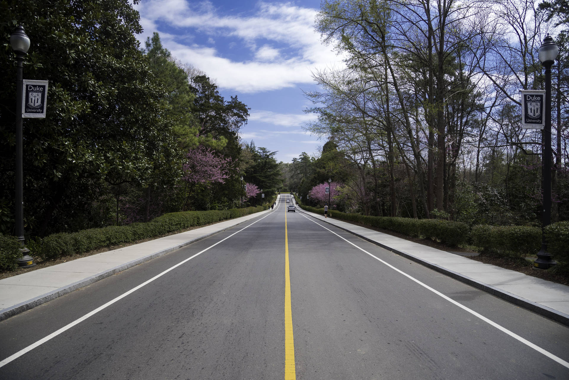 Majestic Duke University Roads Amidst Classic Architecture Background