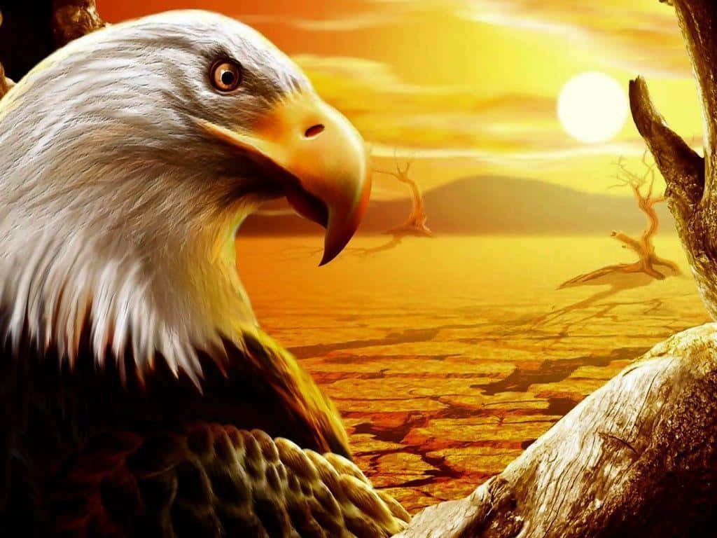 Philippine Eagle Backgrounds