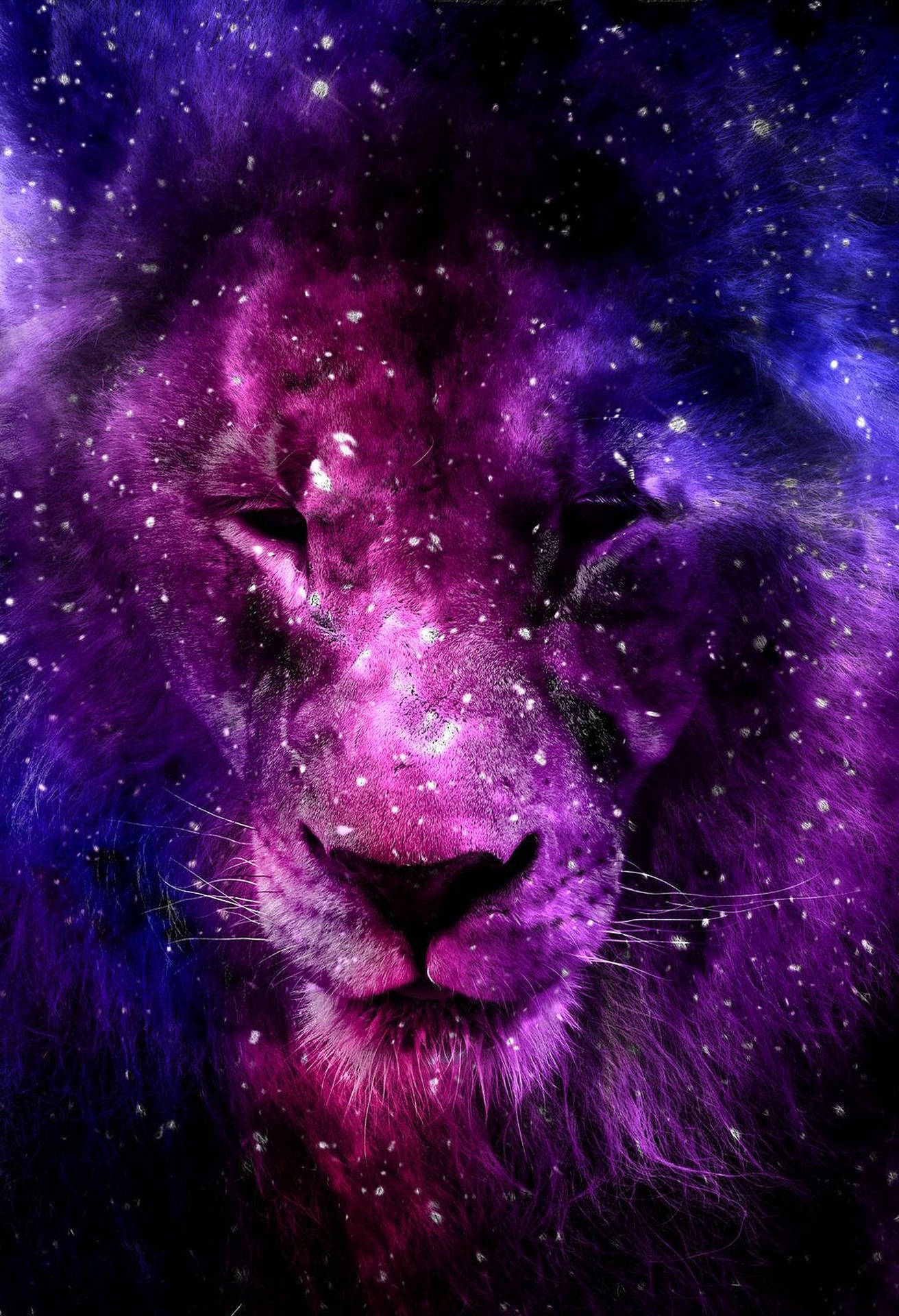 Majestic Galaxy Lion In Pink And Purple Gradient Background