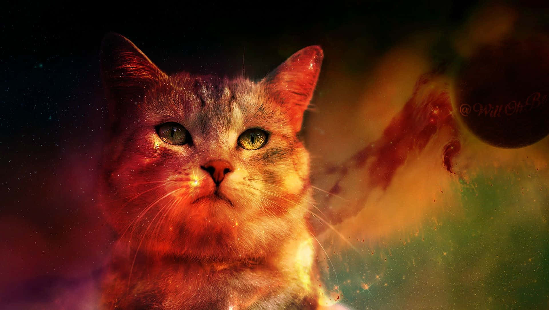 Majestic Ginger Cat Background