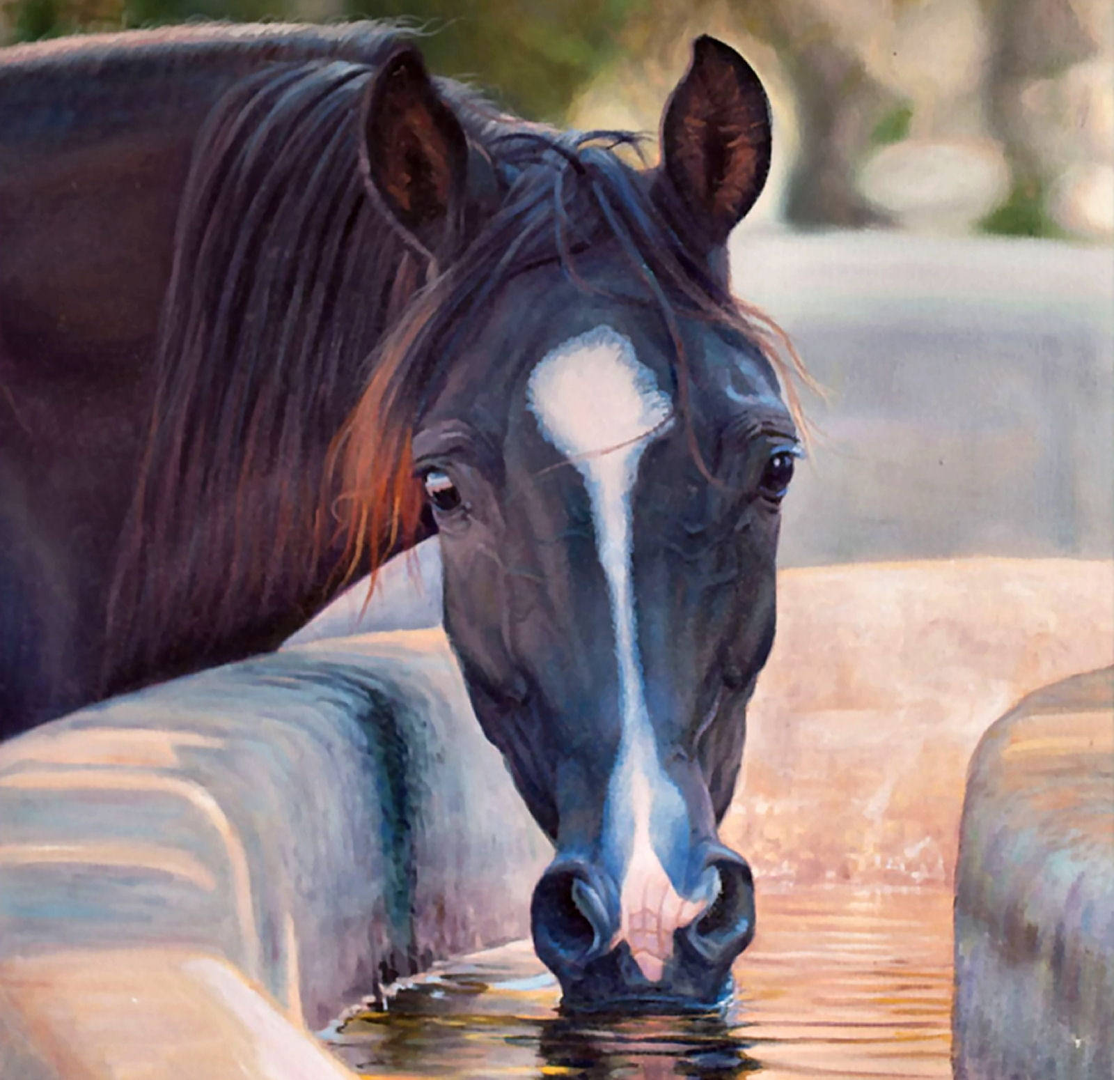 Majestic Grace - Close-up Portrait Of Bay Horse Background