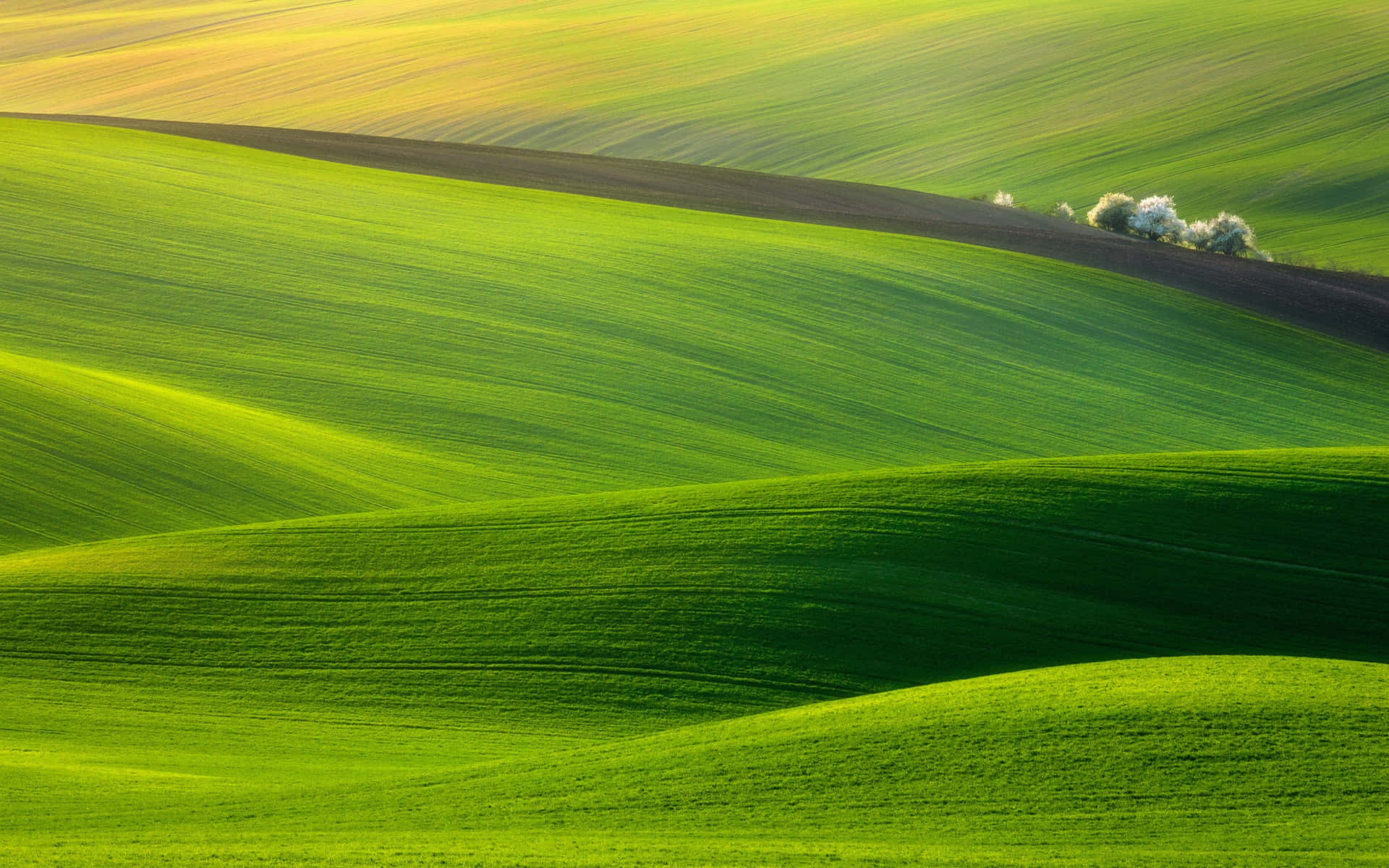 Majestic Green Hills Background