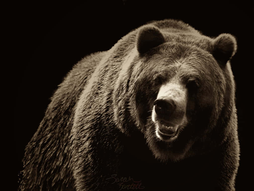 Majestic_ Grizzly_ Bear_ Portrait