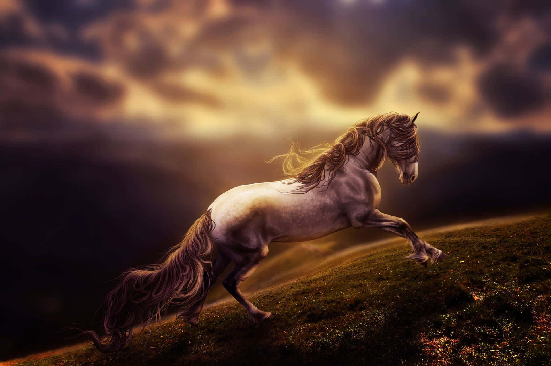 Majestic Horse Galloping Stormy Backdrop