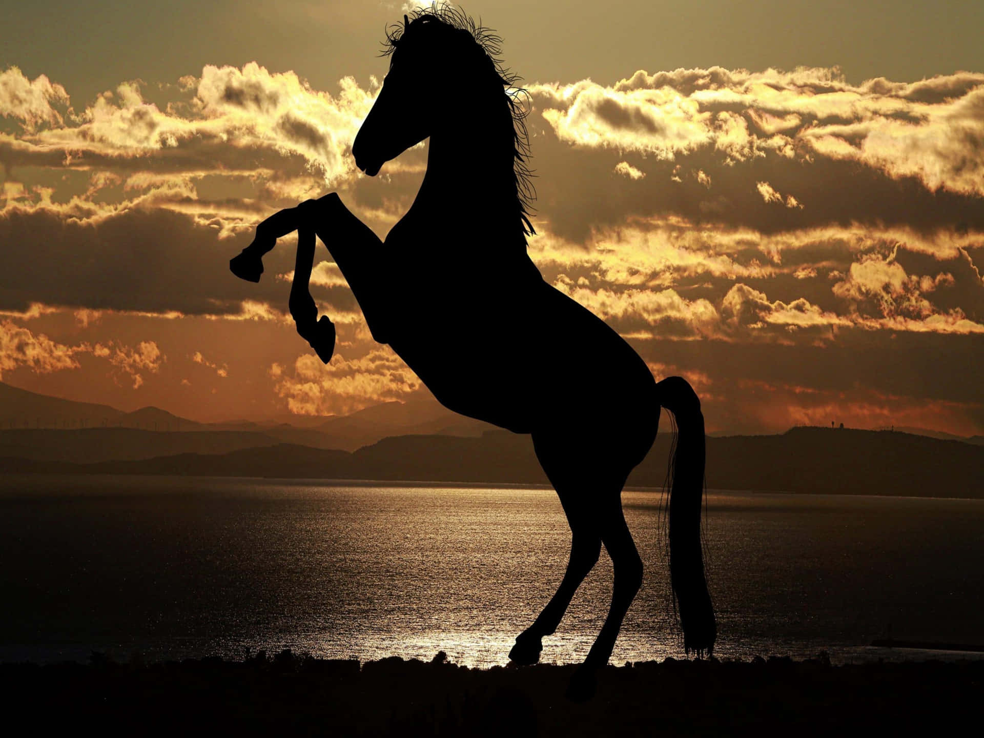 Majestic Horse Silhouetteat Sunset