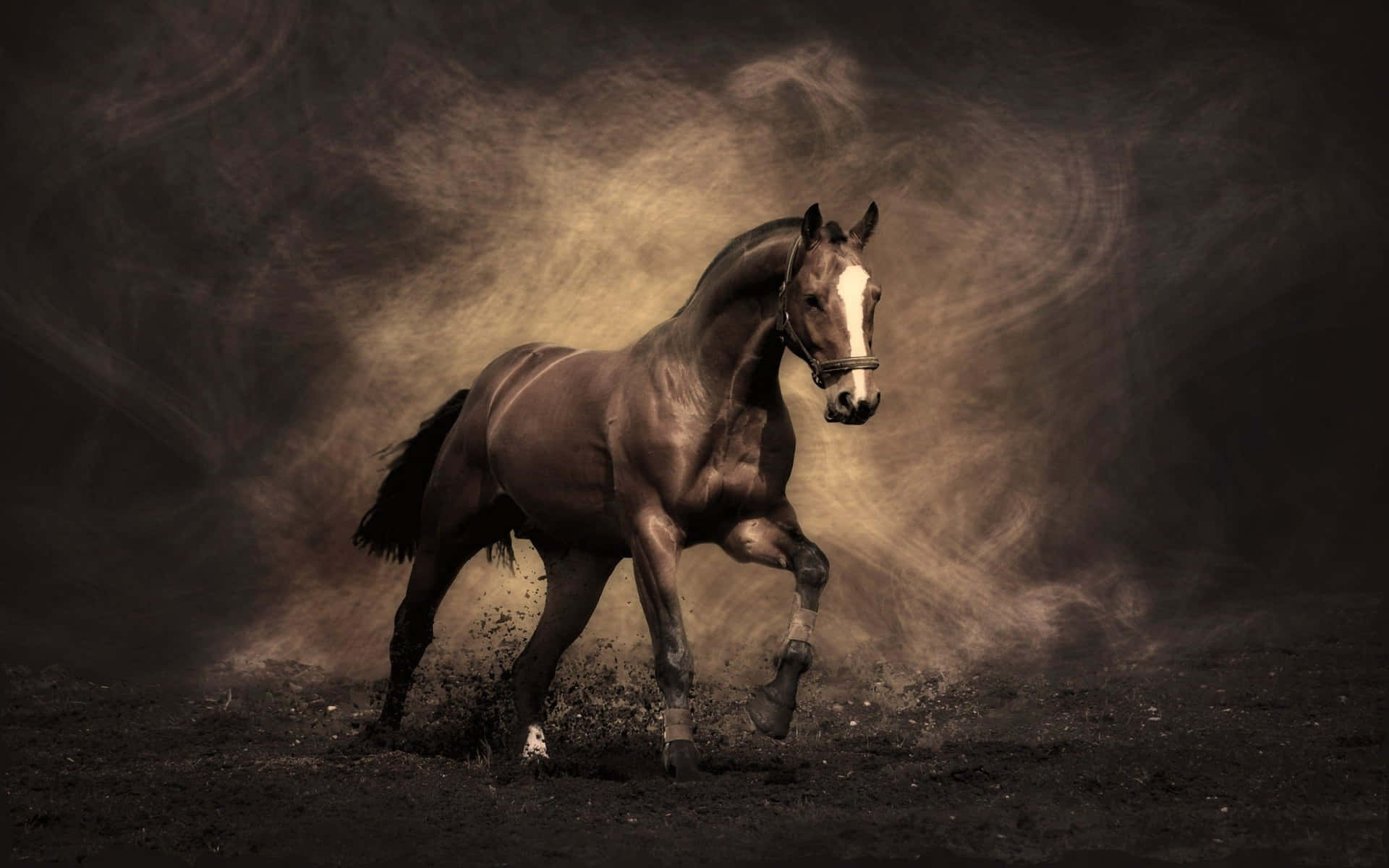 Majestic Horsein Dust Cloud