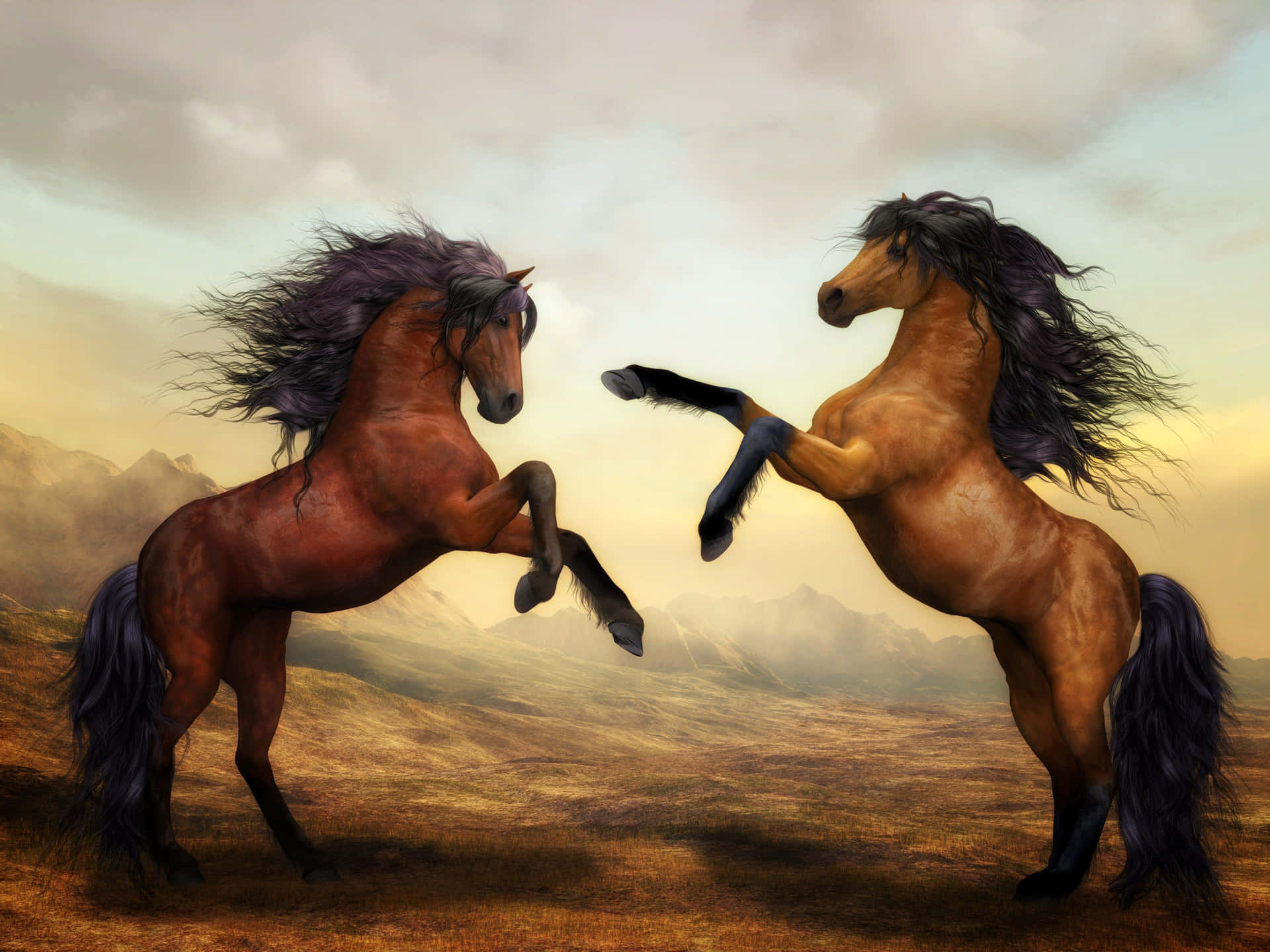 Majestic_ Horses_ Rearing_ Up Background