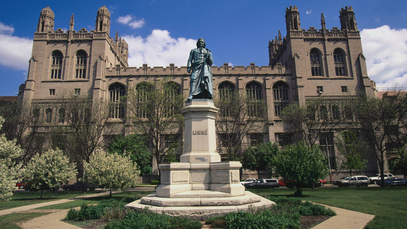 Majestic Infrastructure Of The University Of Chicago Background