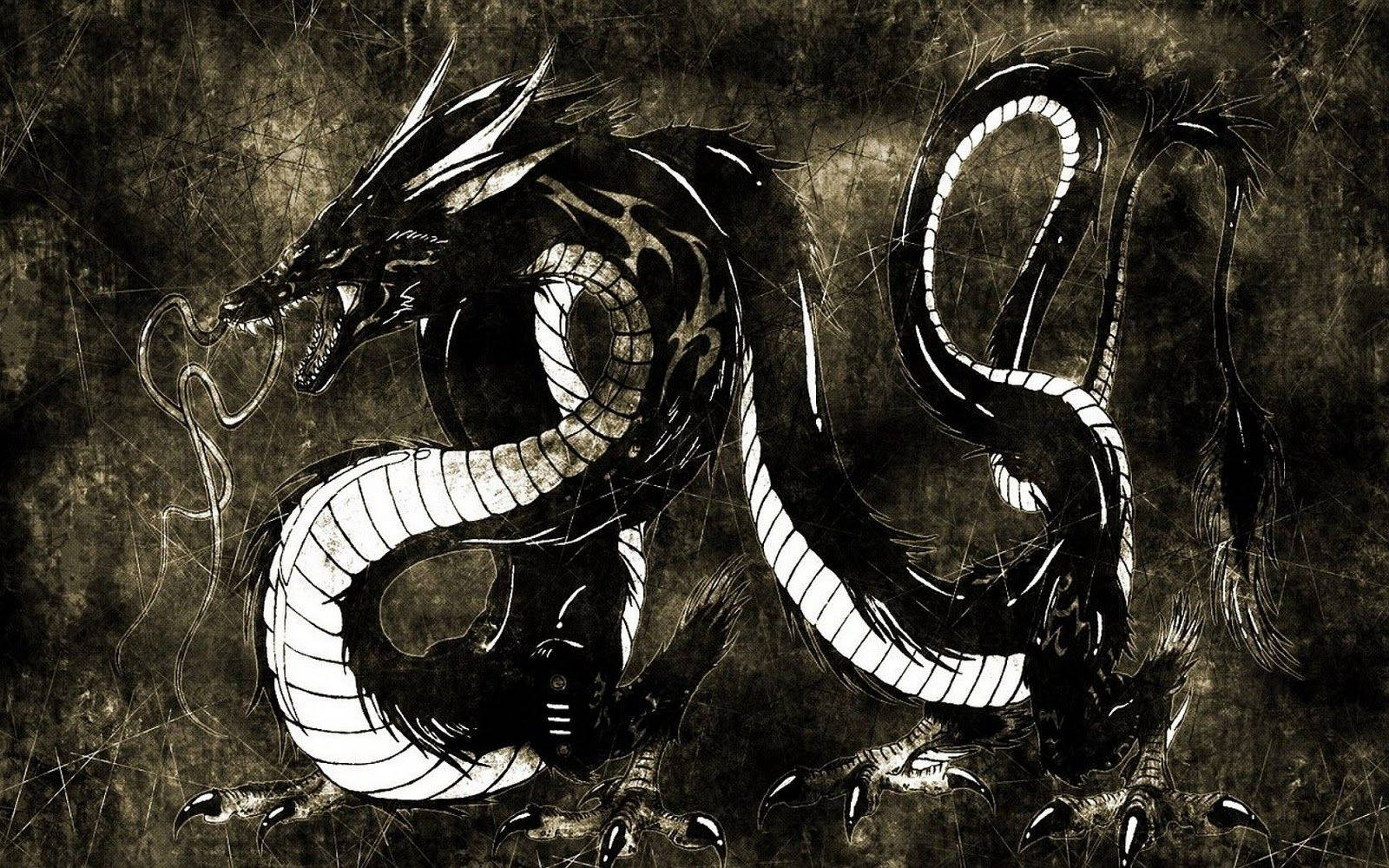 Majestic Japanese Dragon - Black And White Pc Wallpaper Background