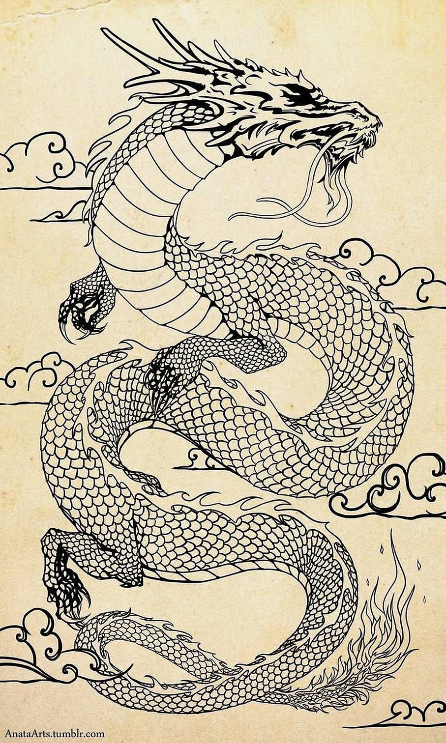Majestic Japanese Dragon Tattoo Sketch Background