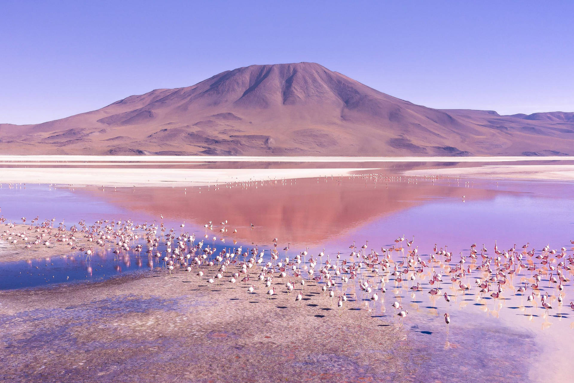 Majestic Laguna Colorada In South America Background