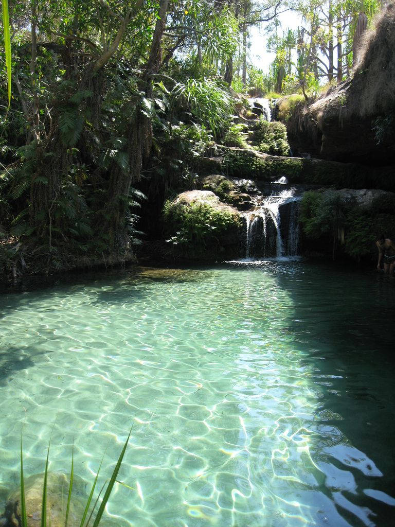 Majestic Landscape In Madagascar Background