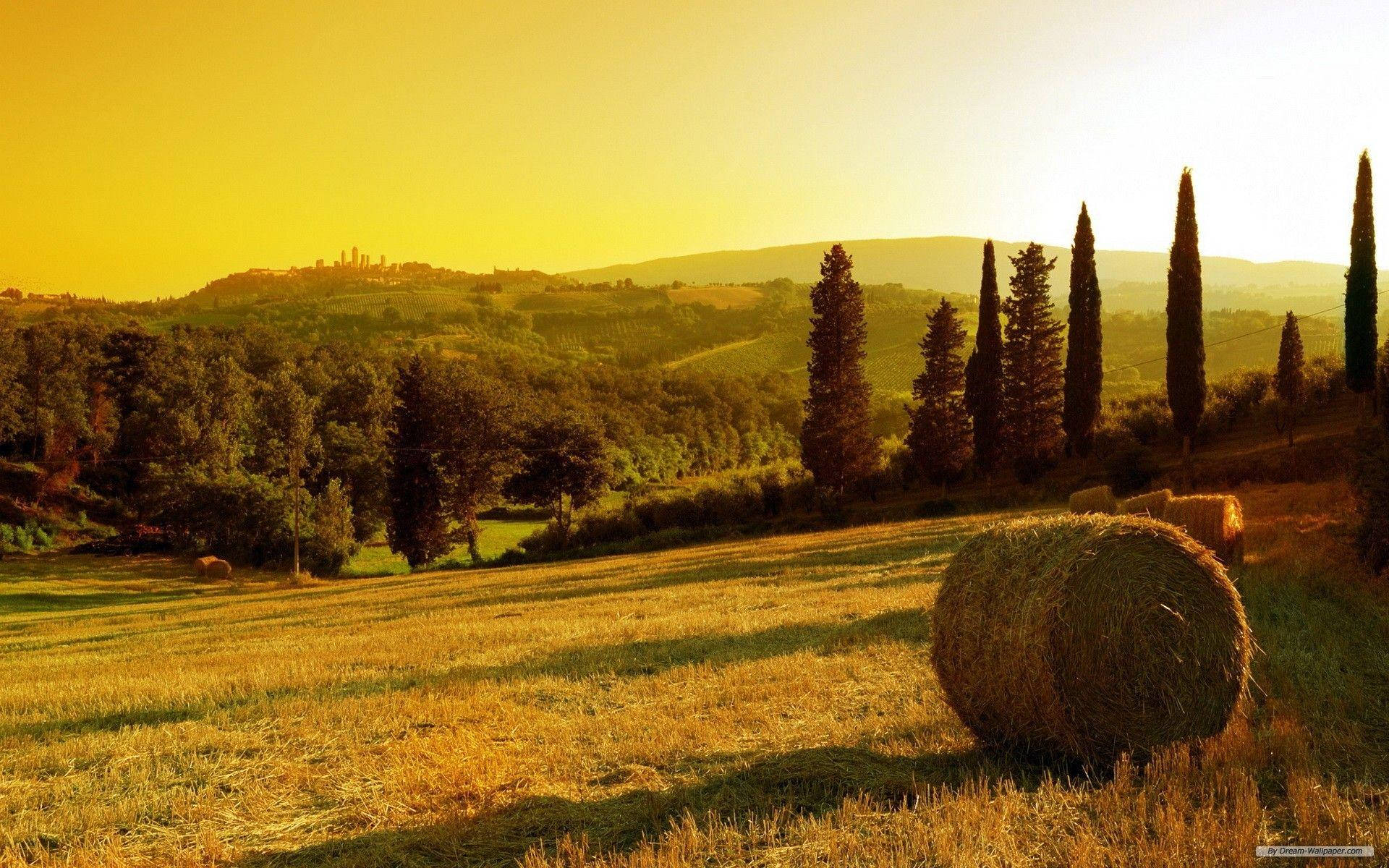 Majestic Landscape Of Tuscany Background