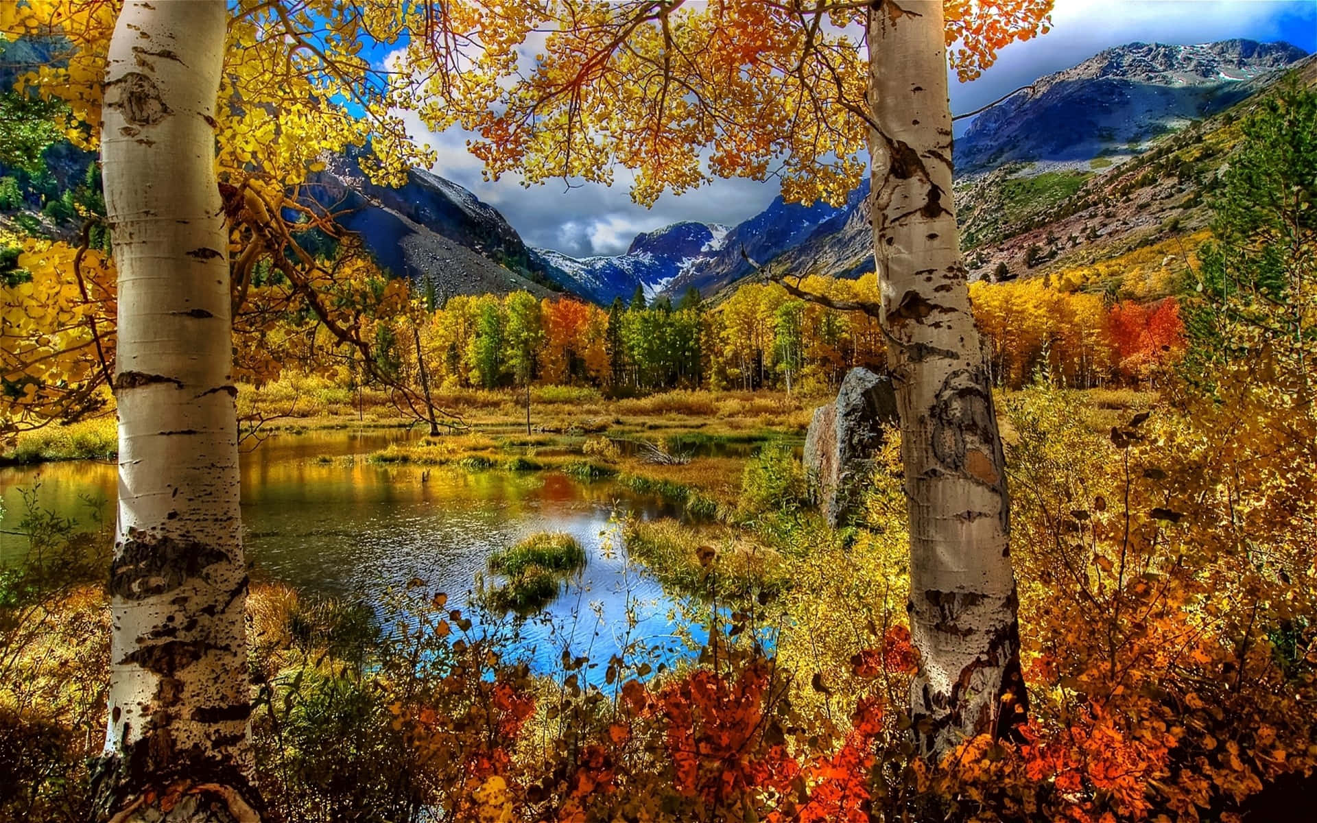 Majestic Layers Of Fall Colors On A Mountain Peak Background