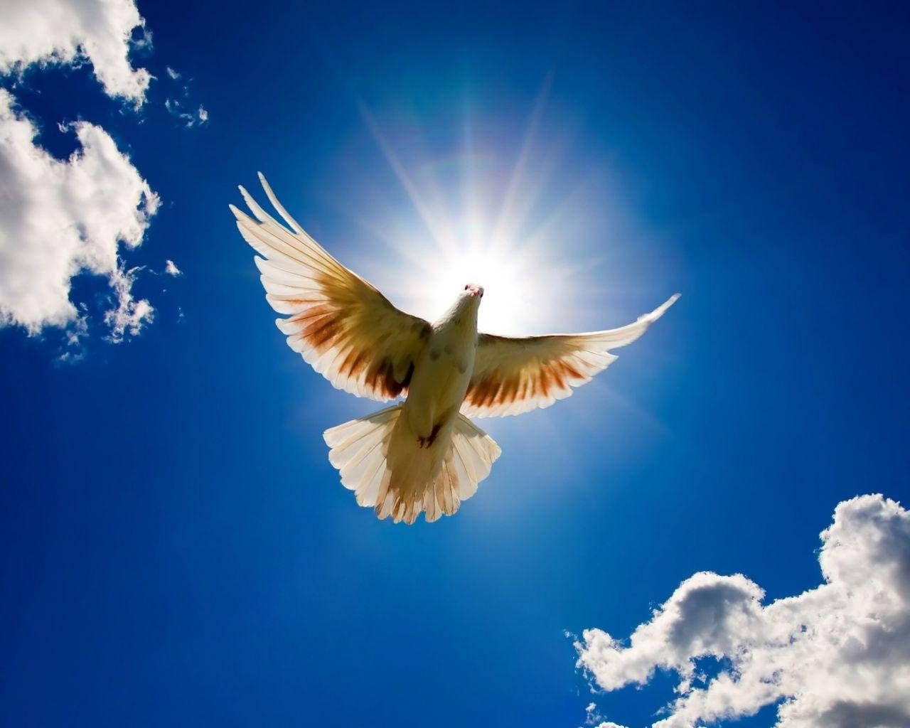 Majestic Light For World Peace Background