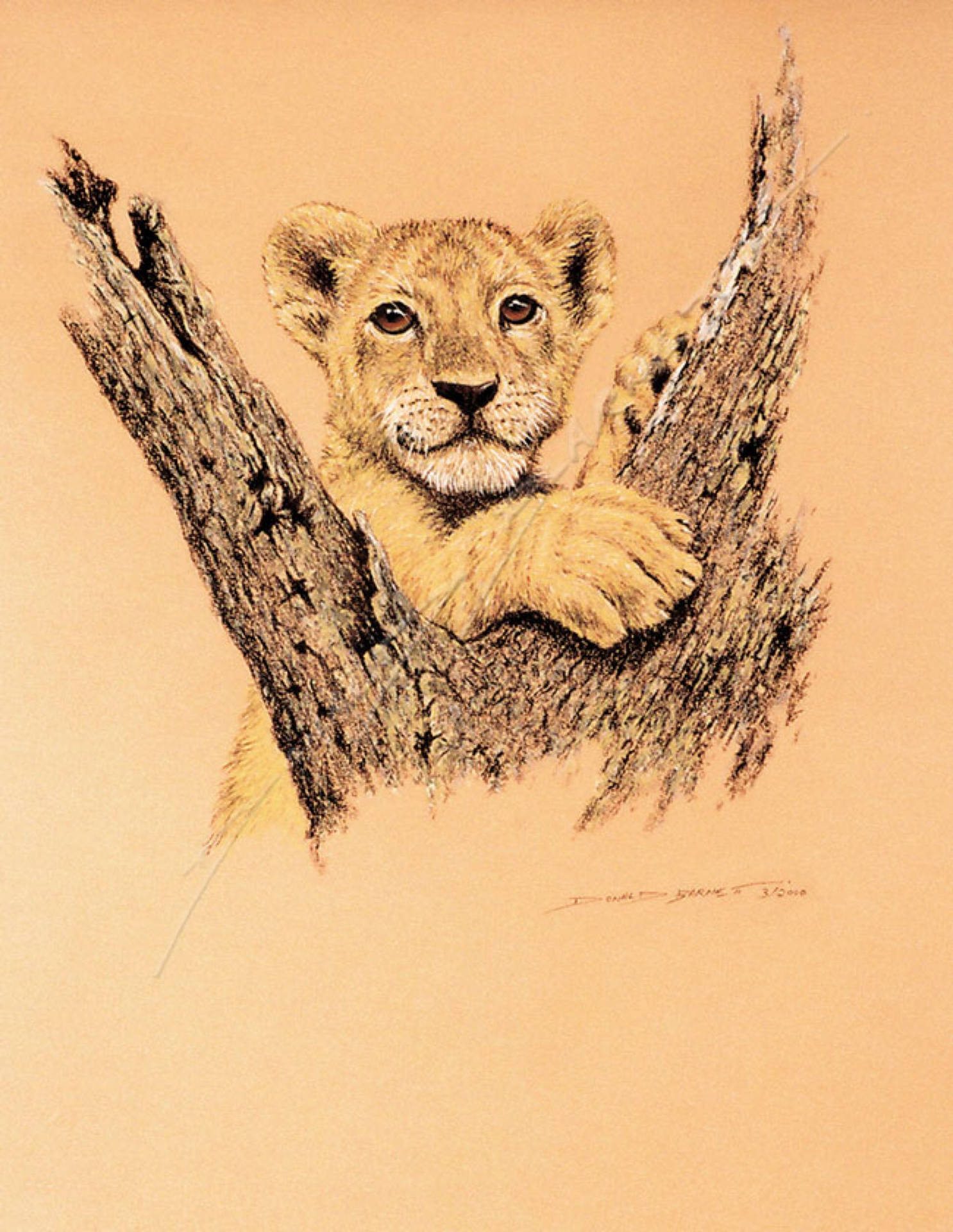 Majestic Lion Cub In Natural Habitat Background