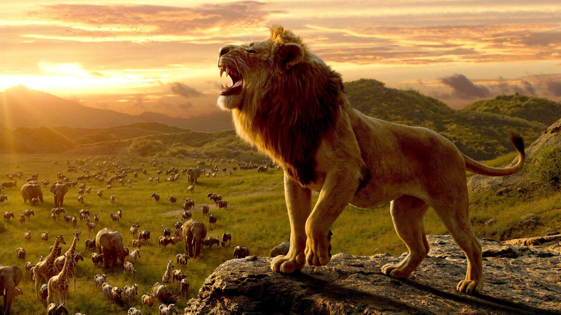Majestic Lion Roaringat Sunset Background