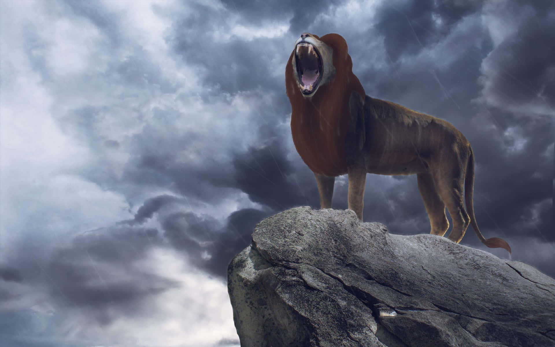 Majestic Lion Roaringon Rock Background