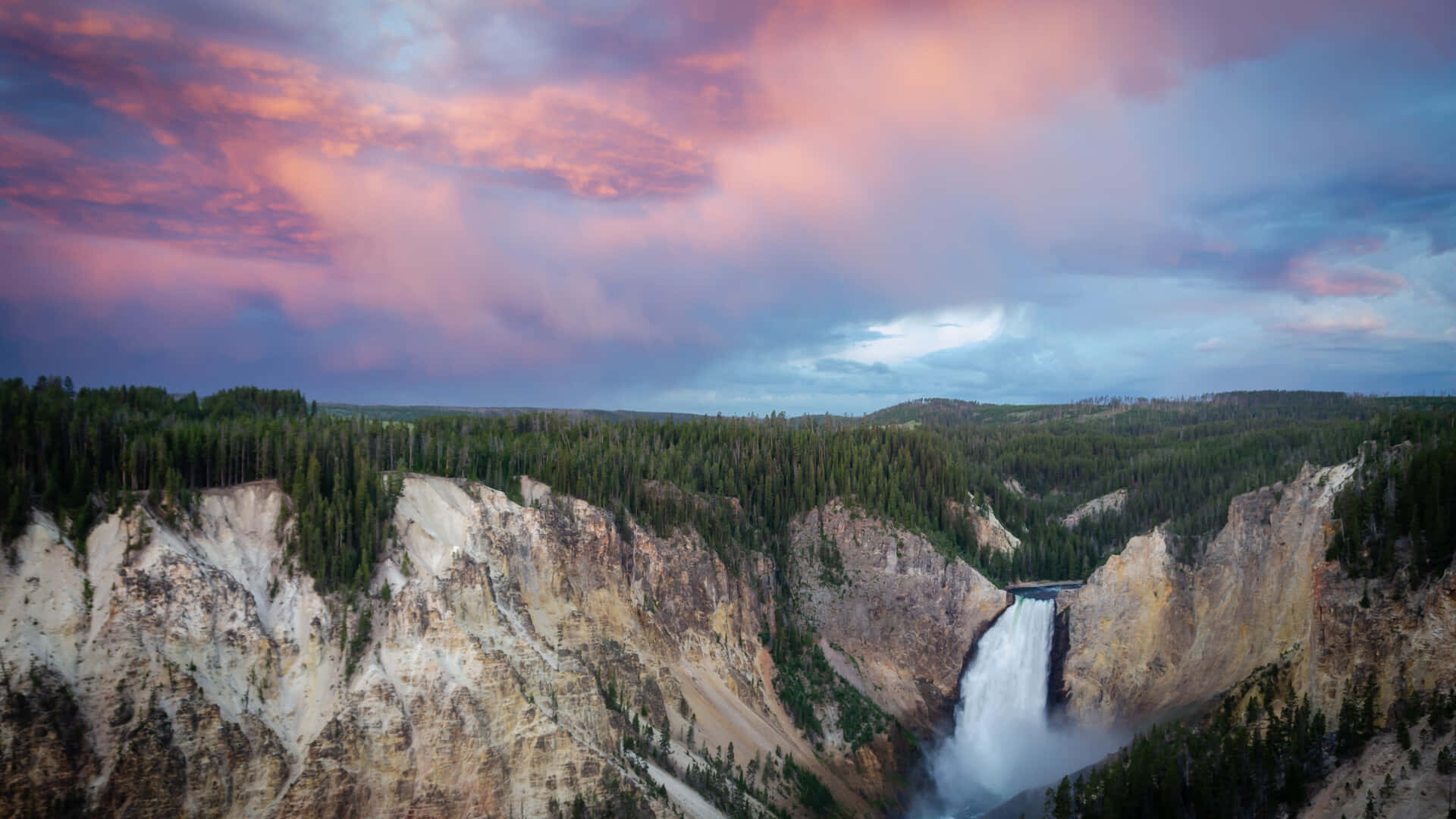 Majestic Lone Tree Against The Majestic Yellowstone