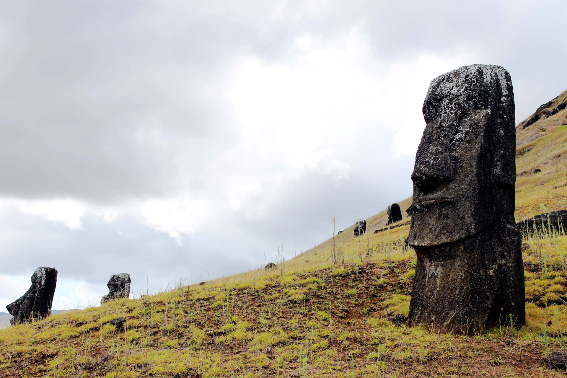 Majestic Moai Statues On The Rugged Terrains Of Easter Island, Chile Background