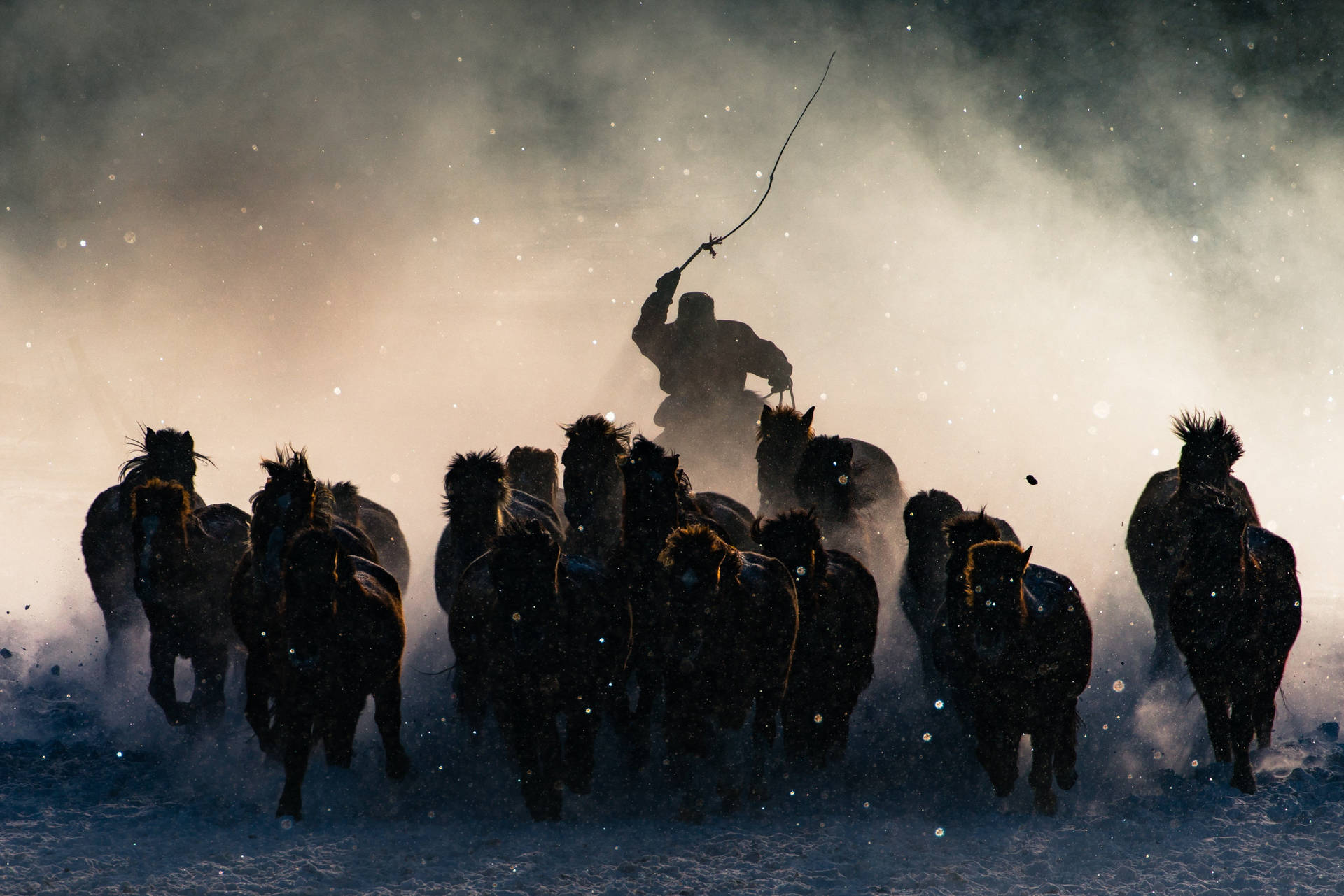 Majestic Mongolian Horse Shepherd Background