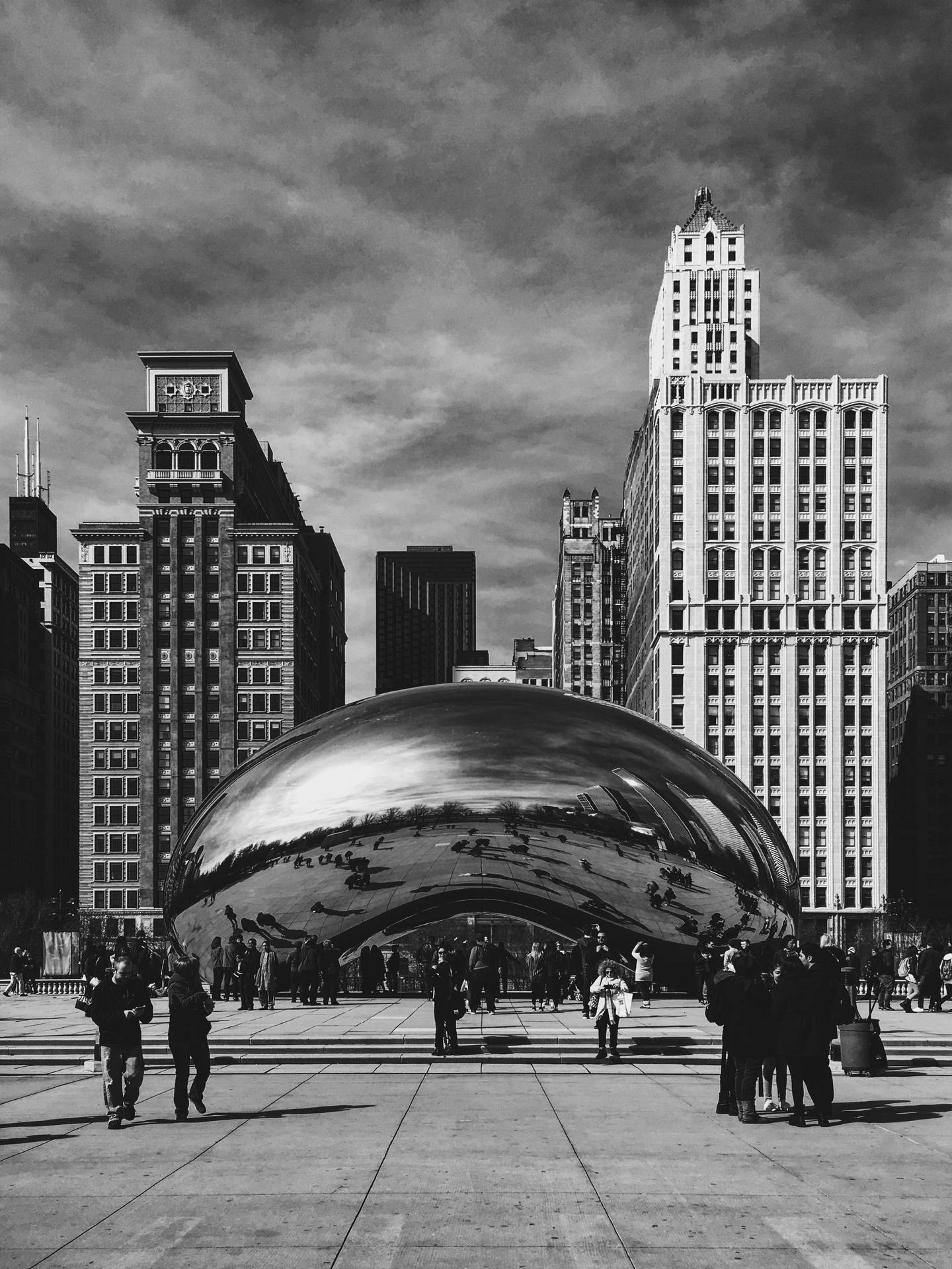 Majestic Monochrome - The Bean Chicago Background