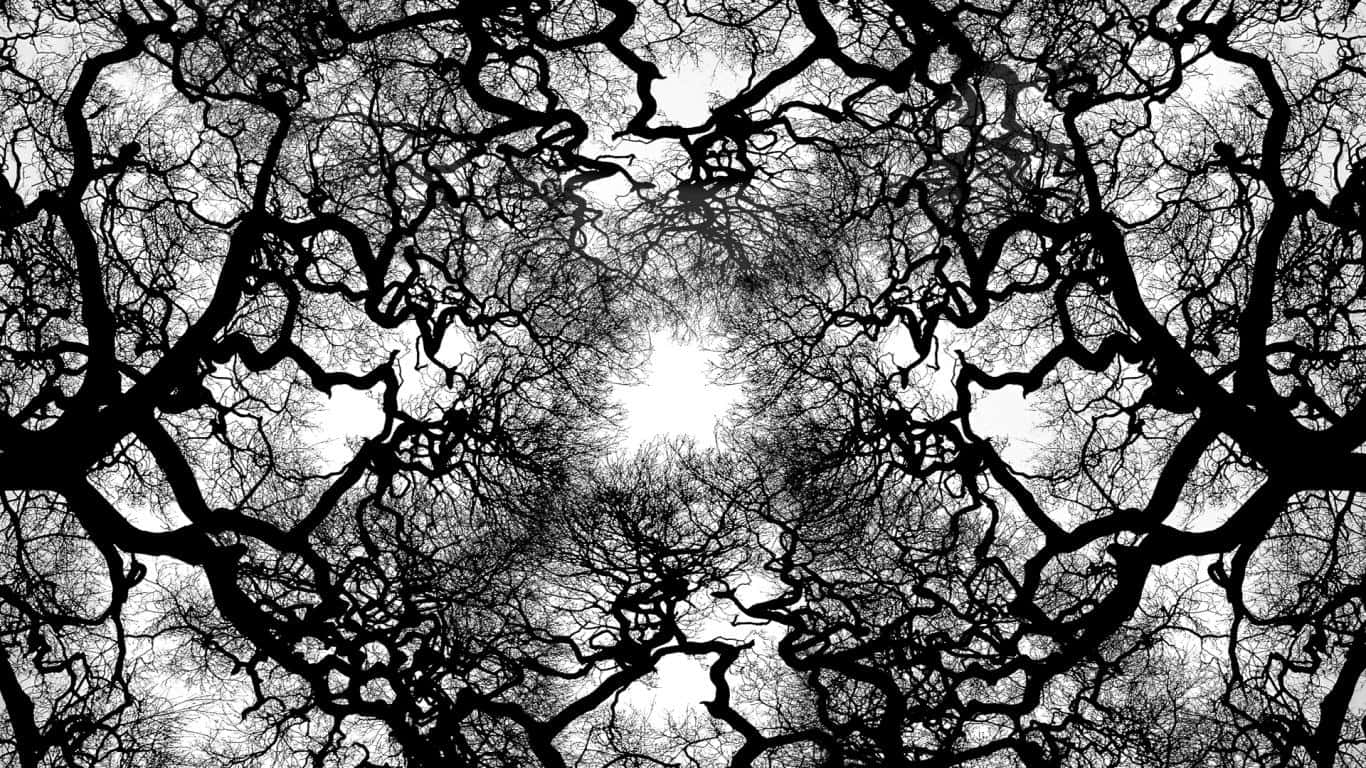 Majestic Monochrome Tree Background