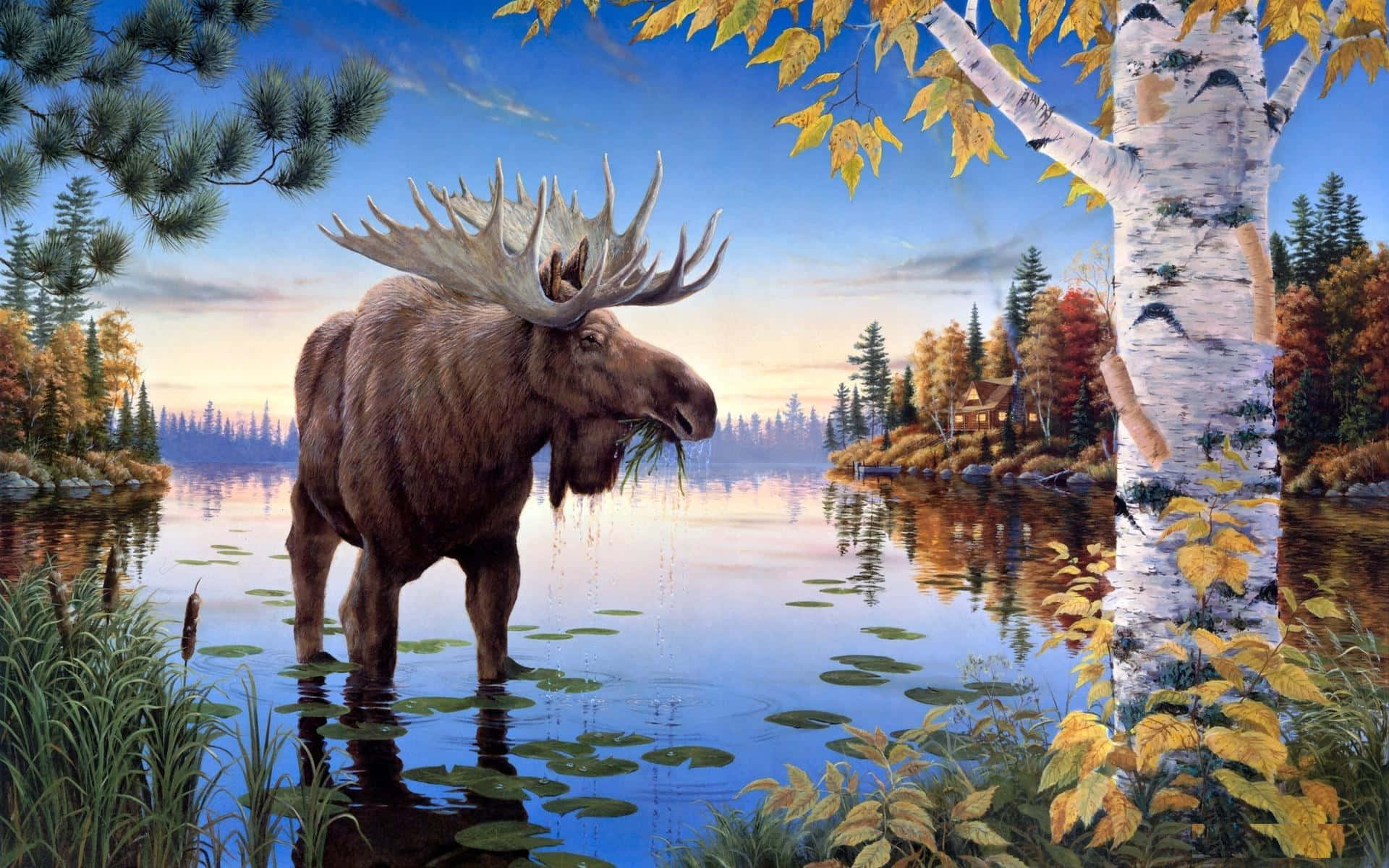 Majestic Moose Lake Side Autumn Scenery