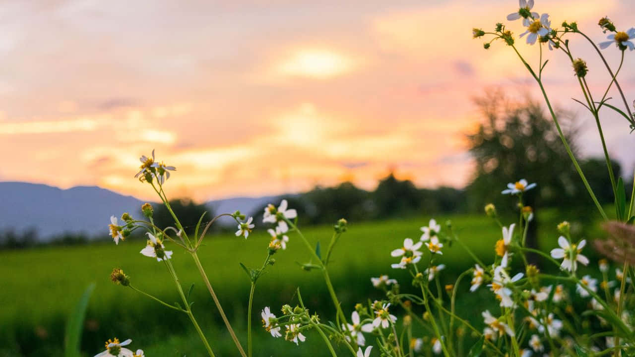 Majestic Mountain Landscape At Sunset Background