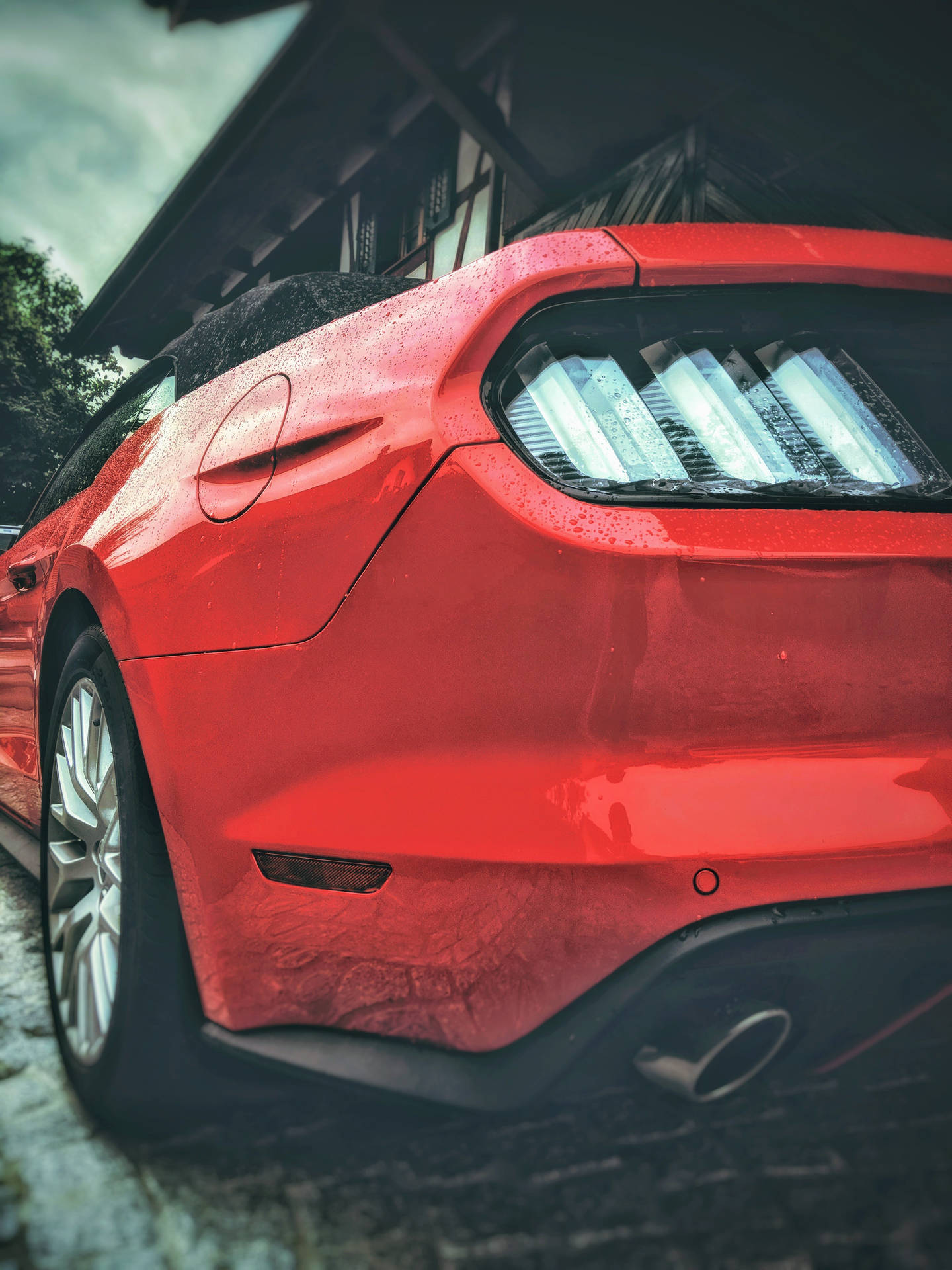 Majestic Mustang Hd - Power Unleashed Background