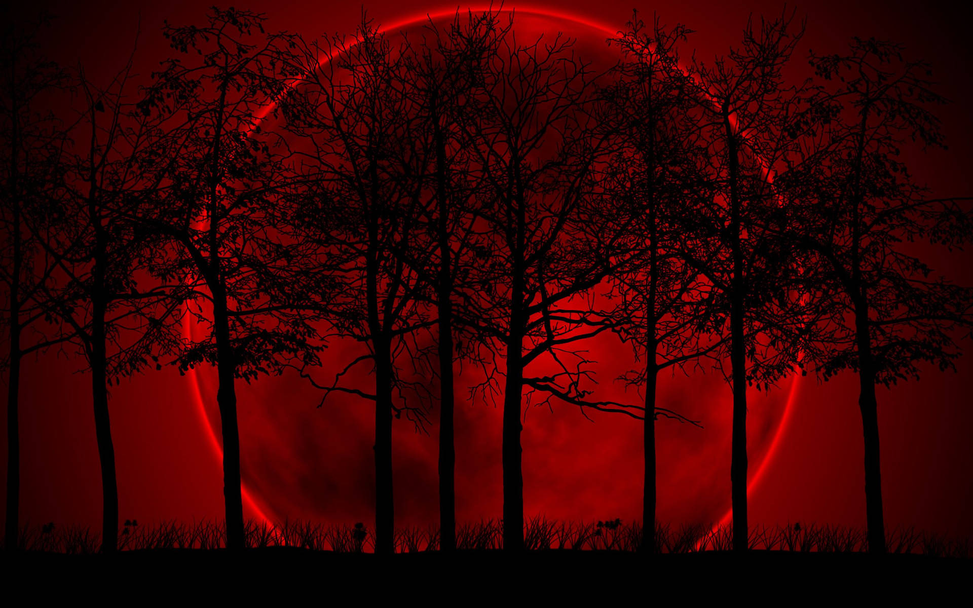 Majestic Nightfall - Beautiful Dark Trees Silhouetted Against A Blood Moon