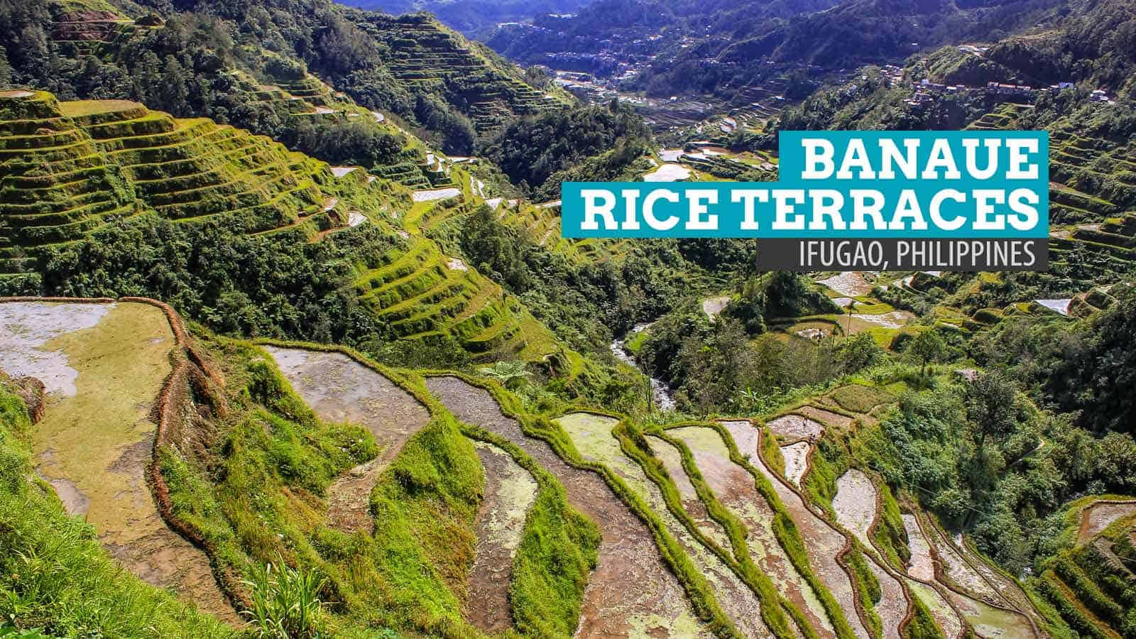 Majestic Overhead View Of Banaue Rice Terraces