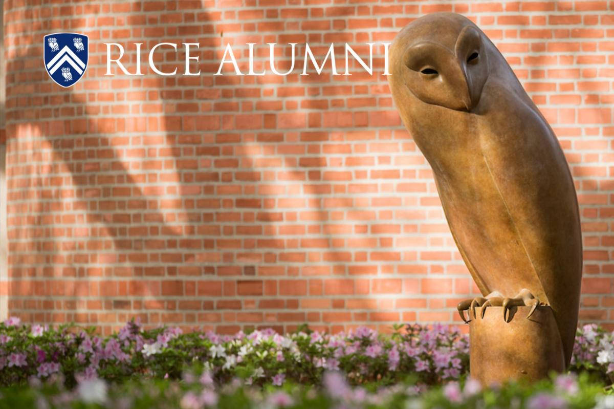 Majestic Owl Statue At Rice University Background