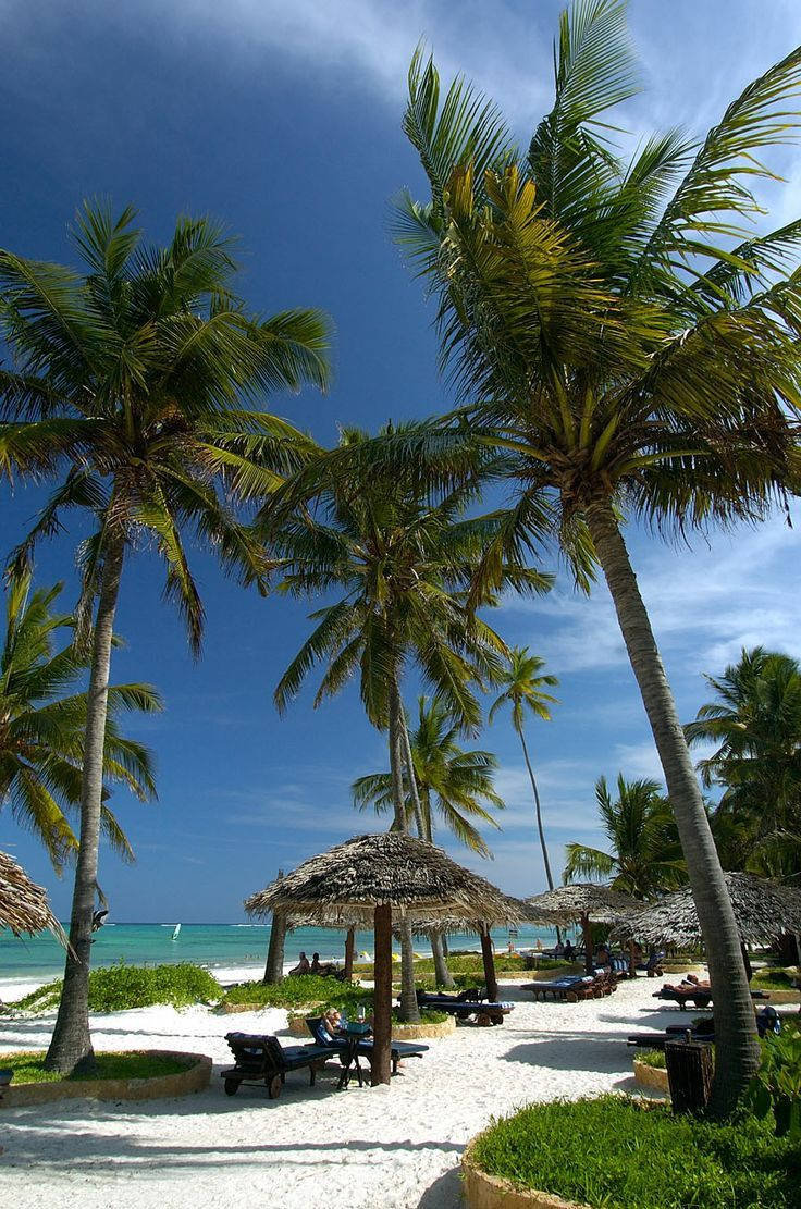 Majestic Palm Trees In Madagascar Background