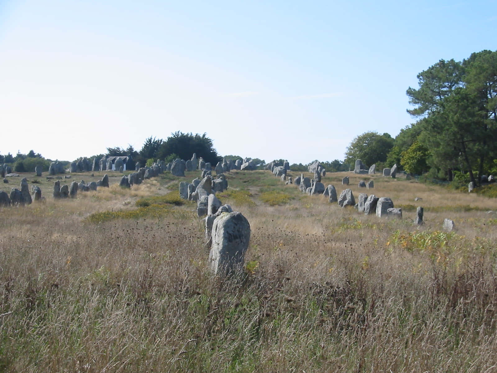 Majestic Panorama Of The Prehistoric Carnac Standing Stones, France. Background