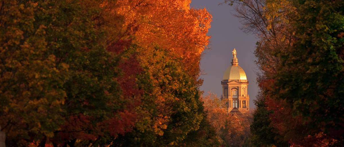 Majestic Panoramic View Of University Of Notre Dame