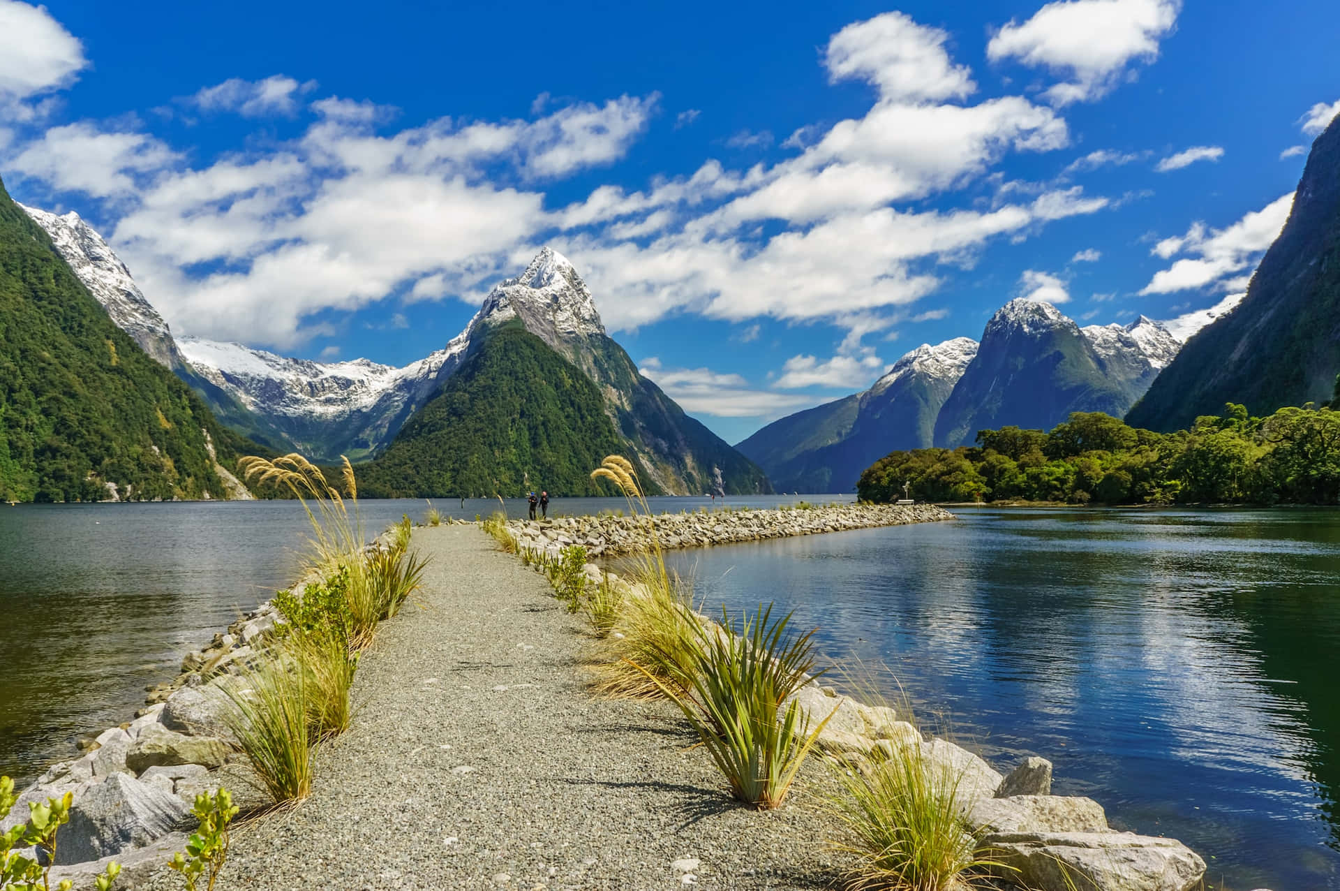 Majestic Pathway In Milford Sound Background