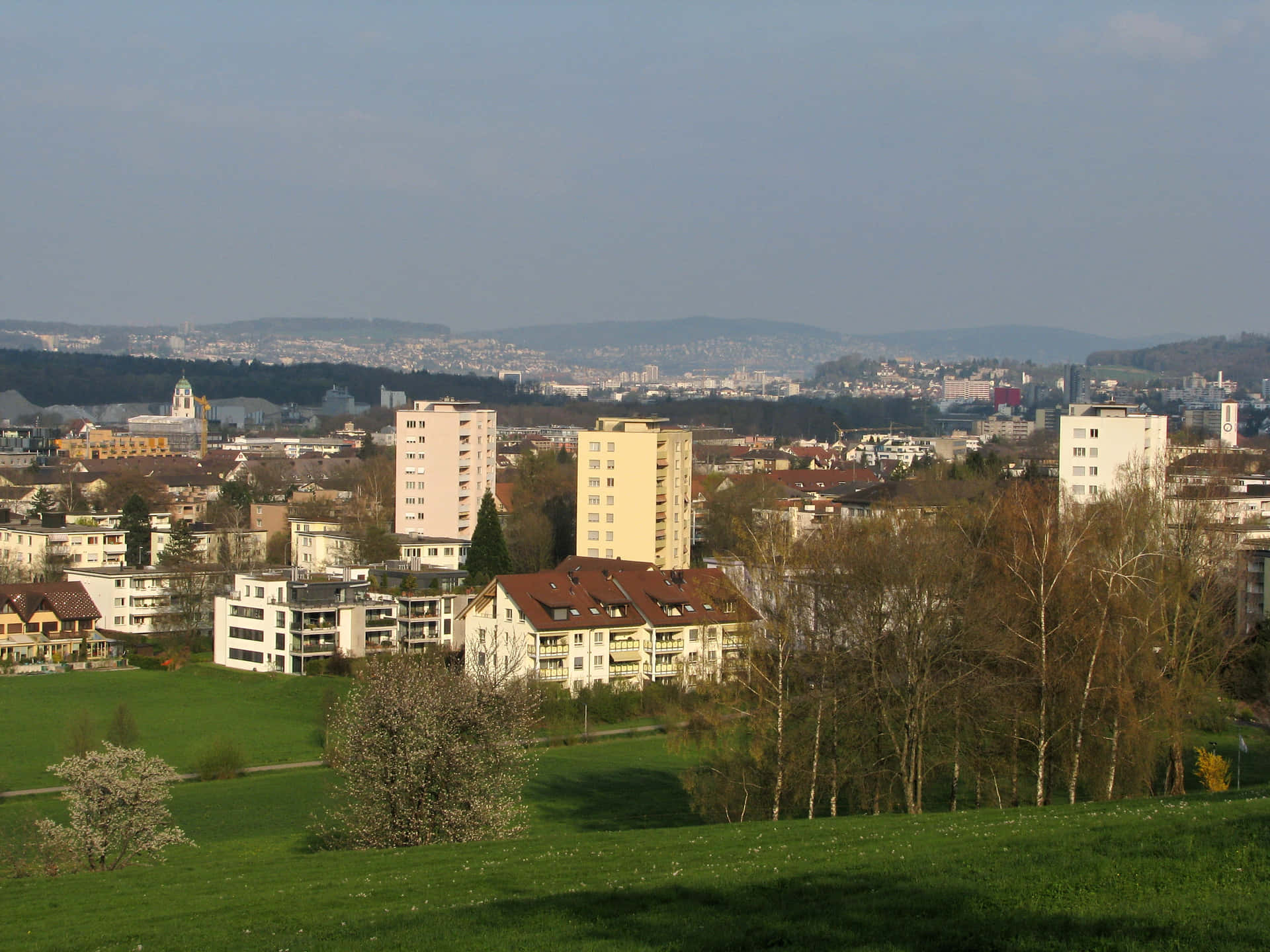 Majestic Picturesque Landscape Of Dietikon Background