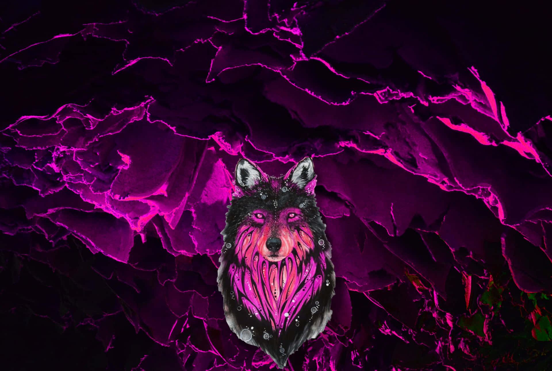 Majestic Pink-hued Wolf Howling At The Moon