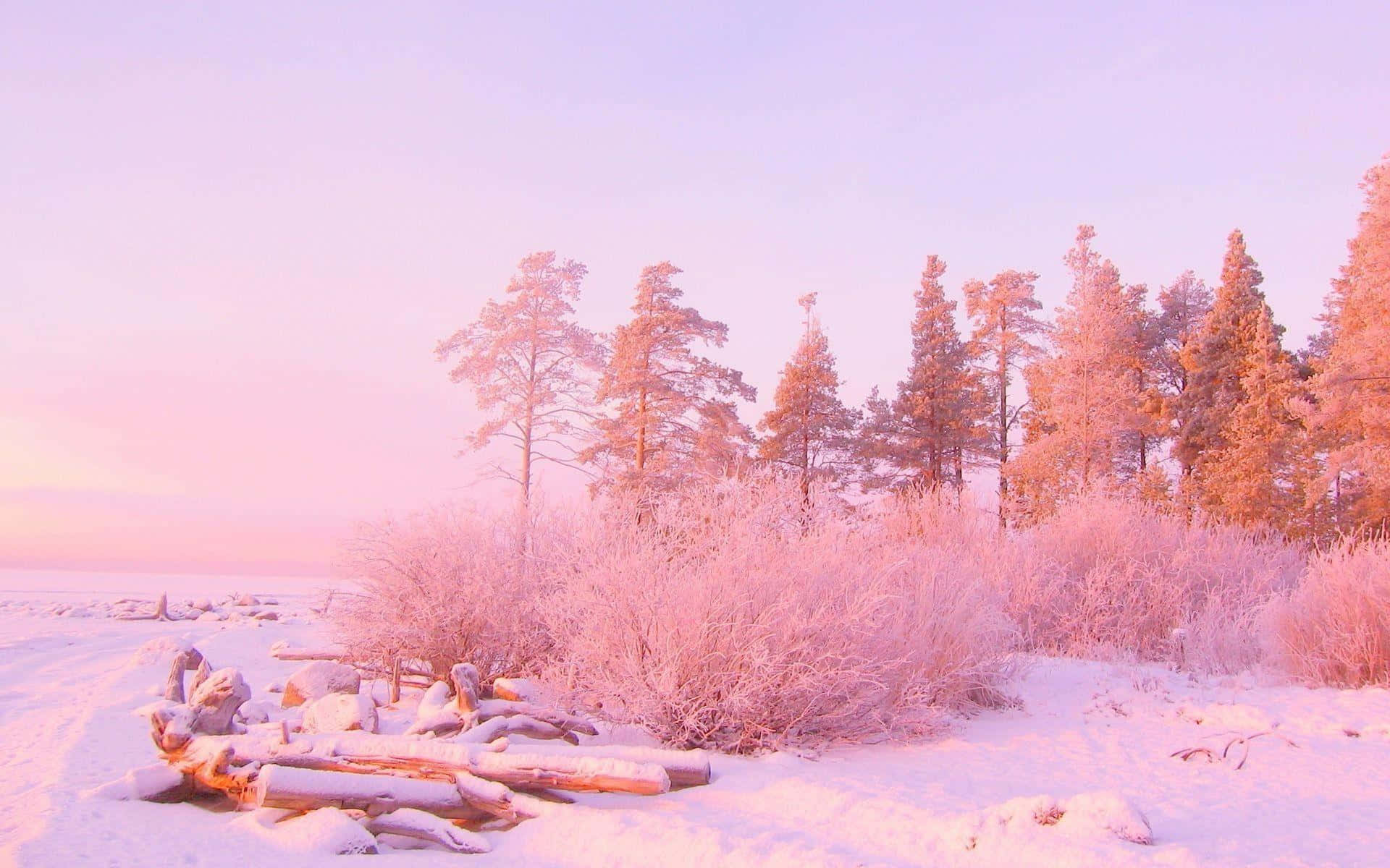 Majestic Pink Trees Reflecting The Beauty Of Nature