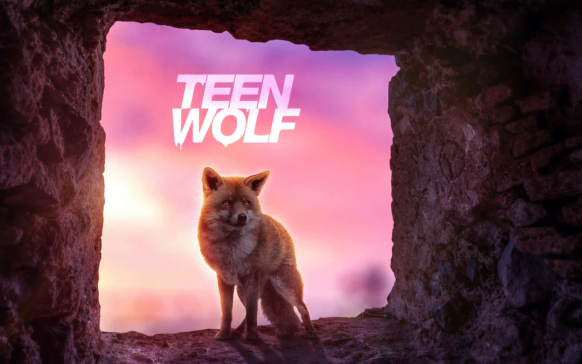 Majestic Pink Wolf Staring Into The Distance. Background